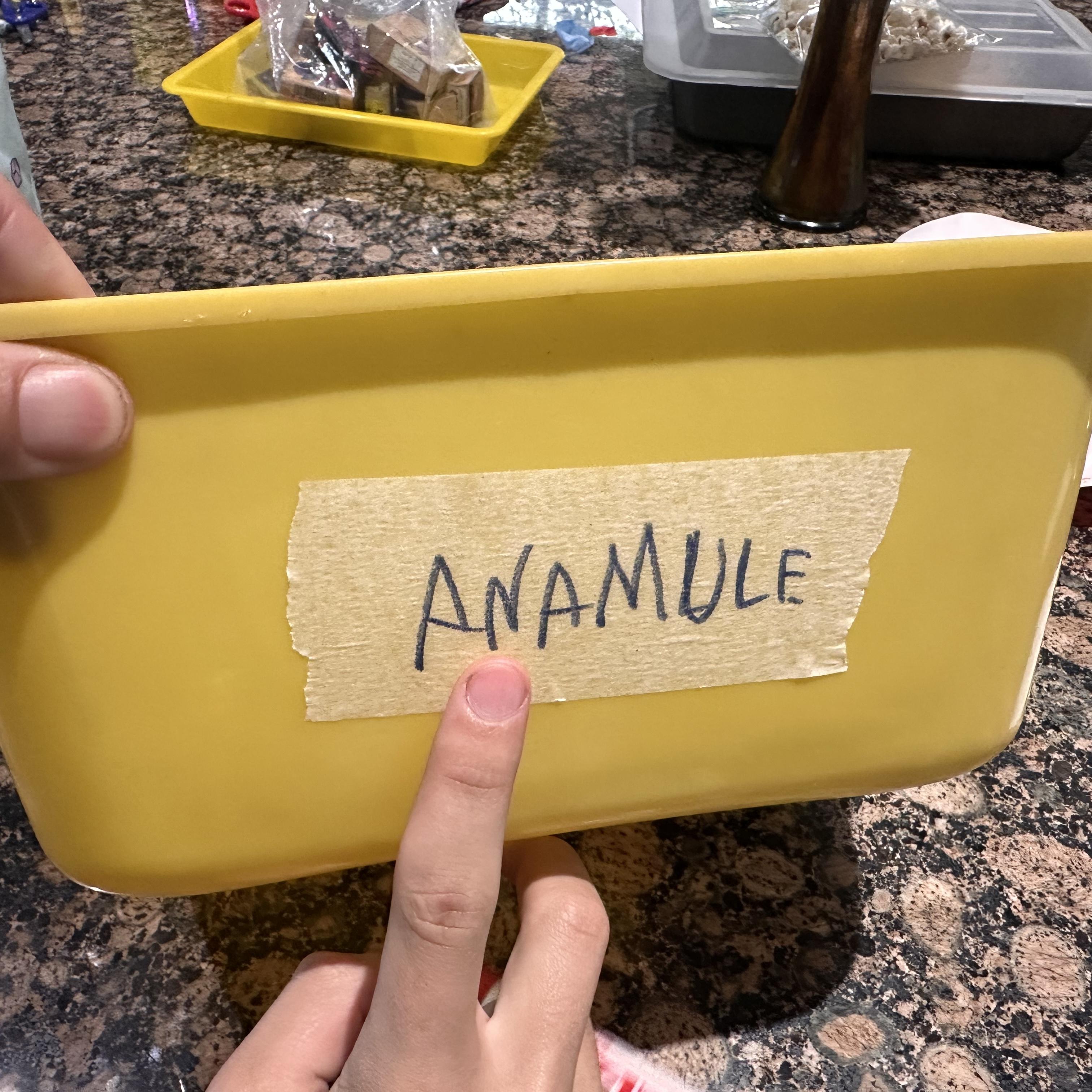 Anamule by YoPatzer cover art