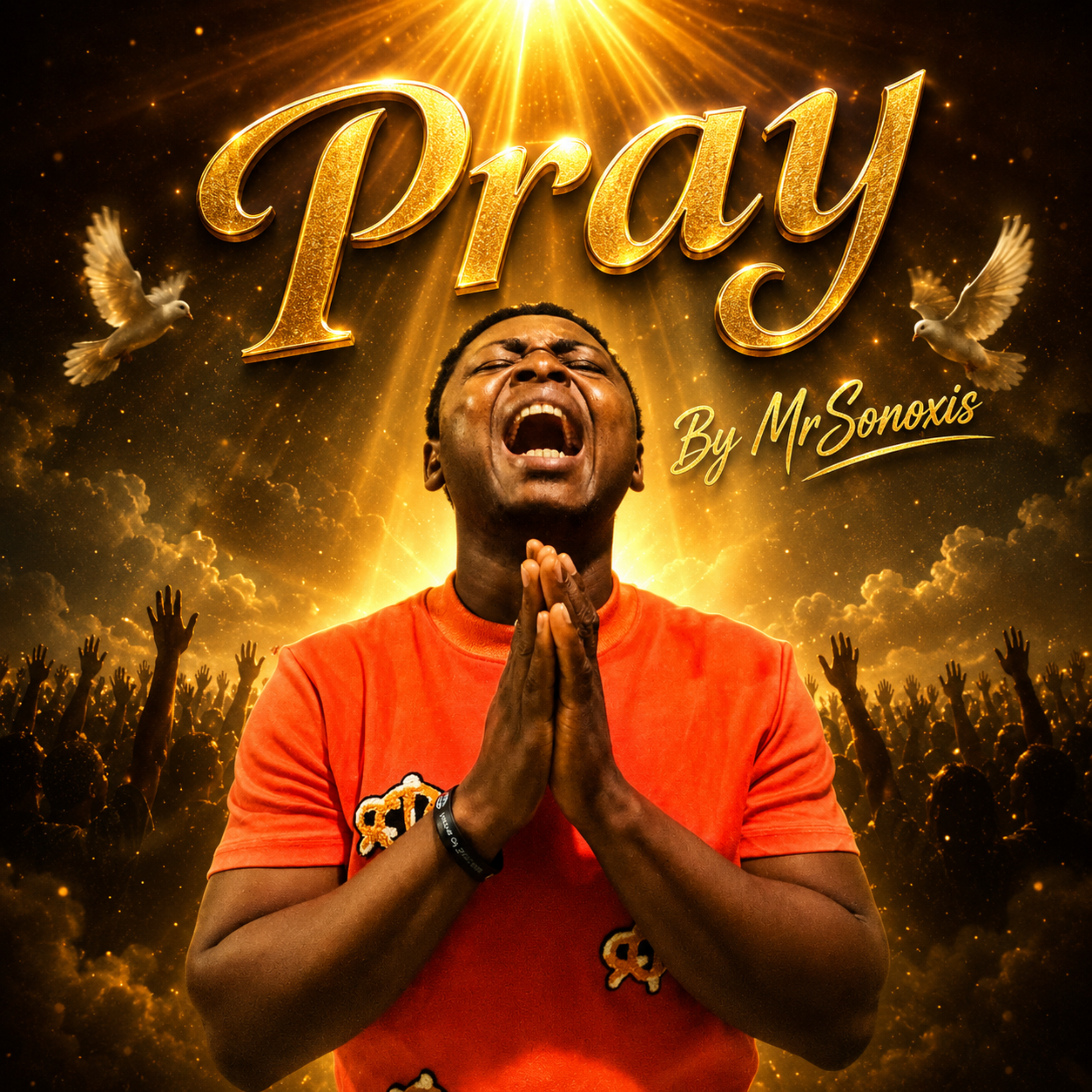 Pray by MrSonoxis cover art