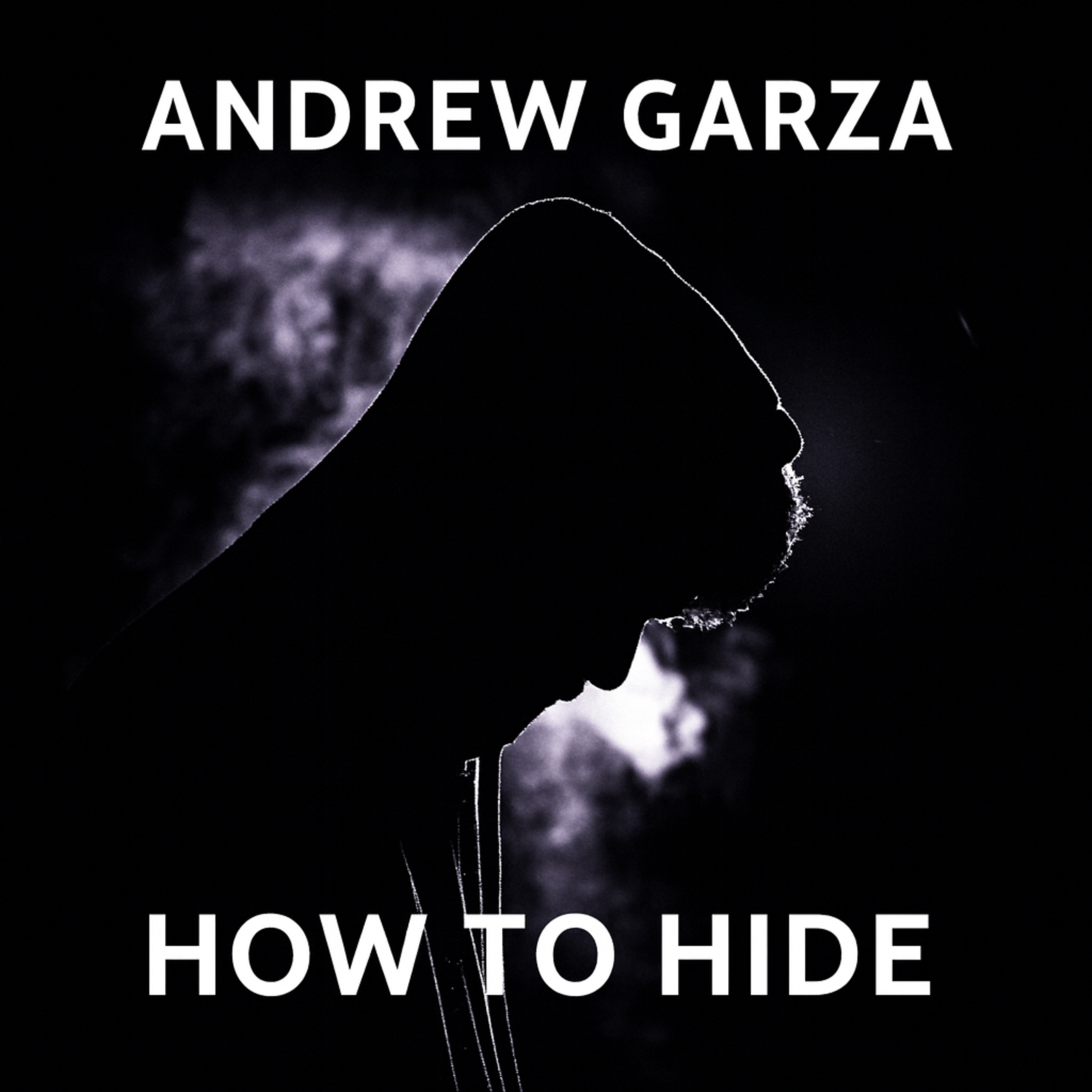 How To Hide artwork