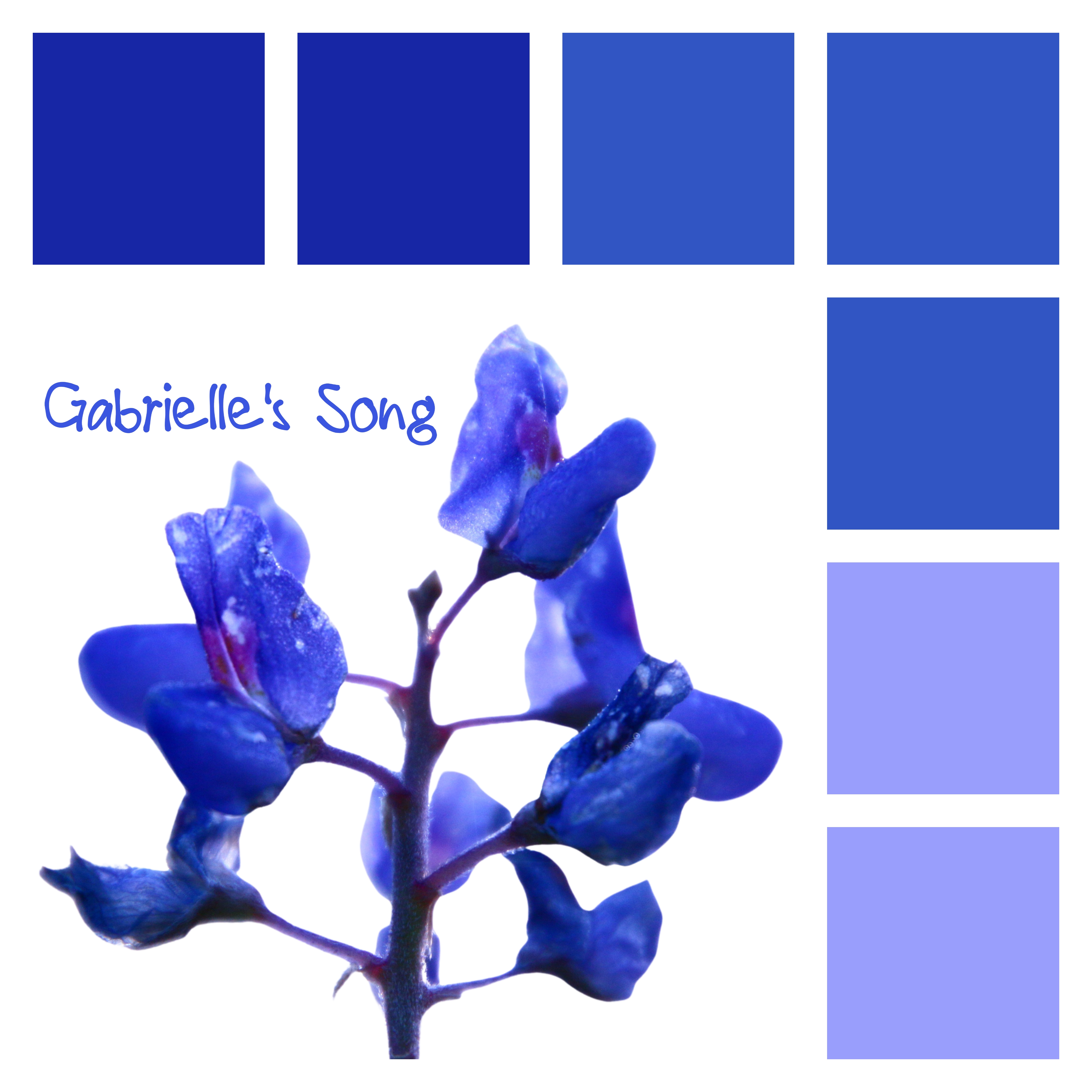 Gabrielle's Song artwork