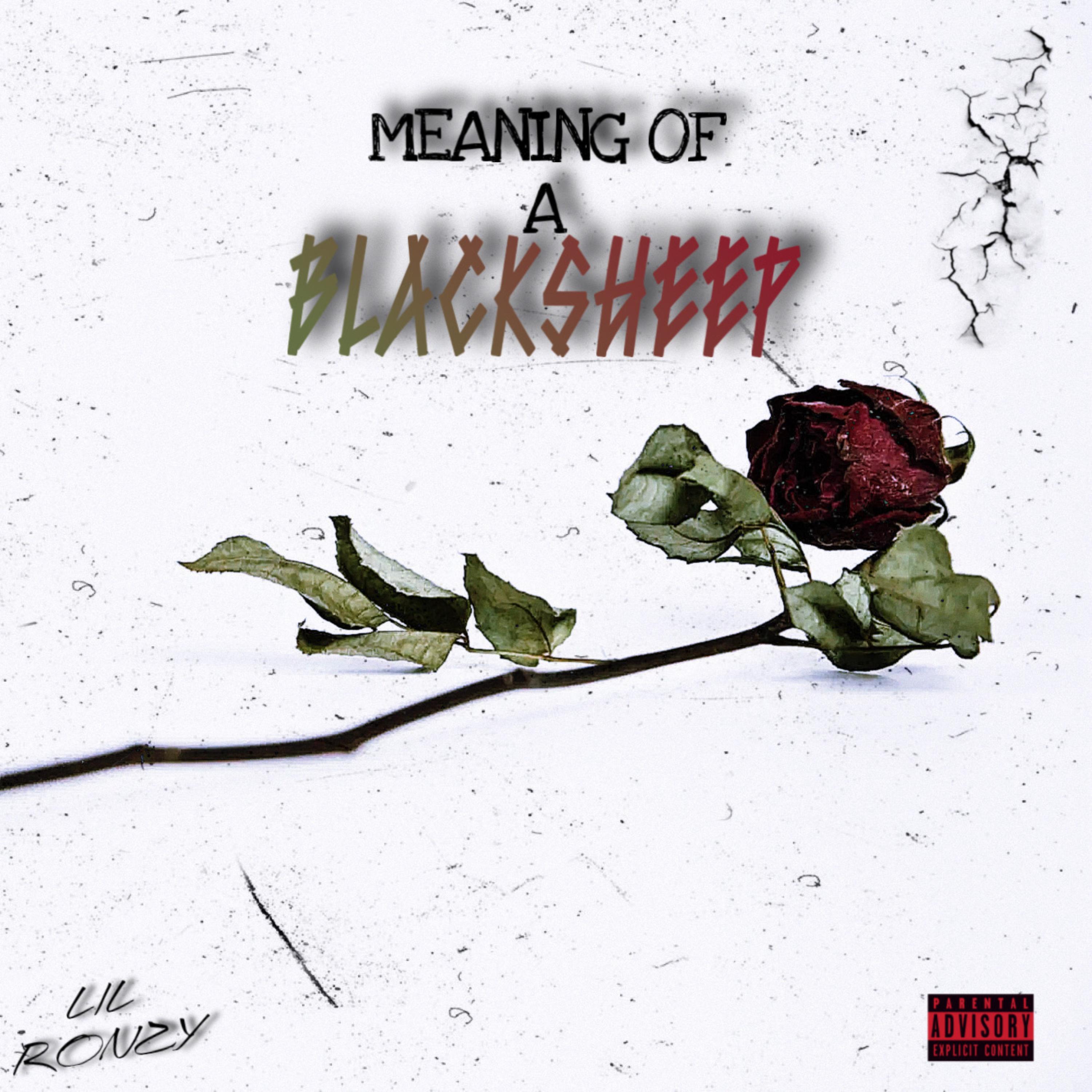 MEANING OF A BLACKSHEEP artwork