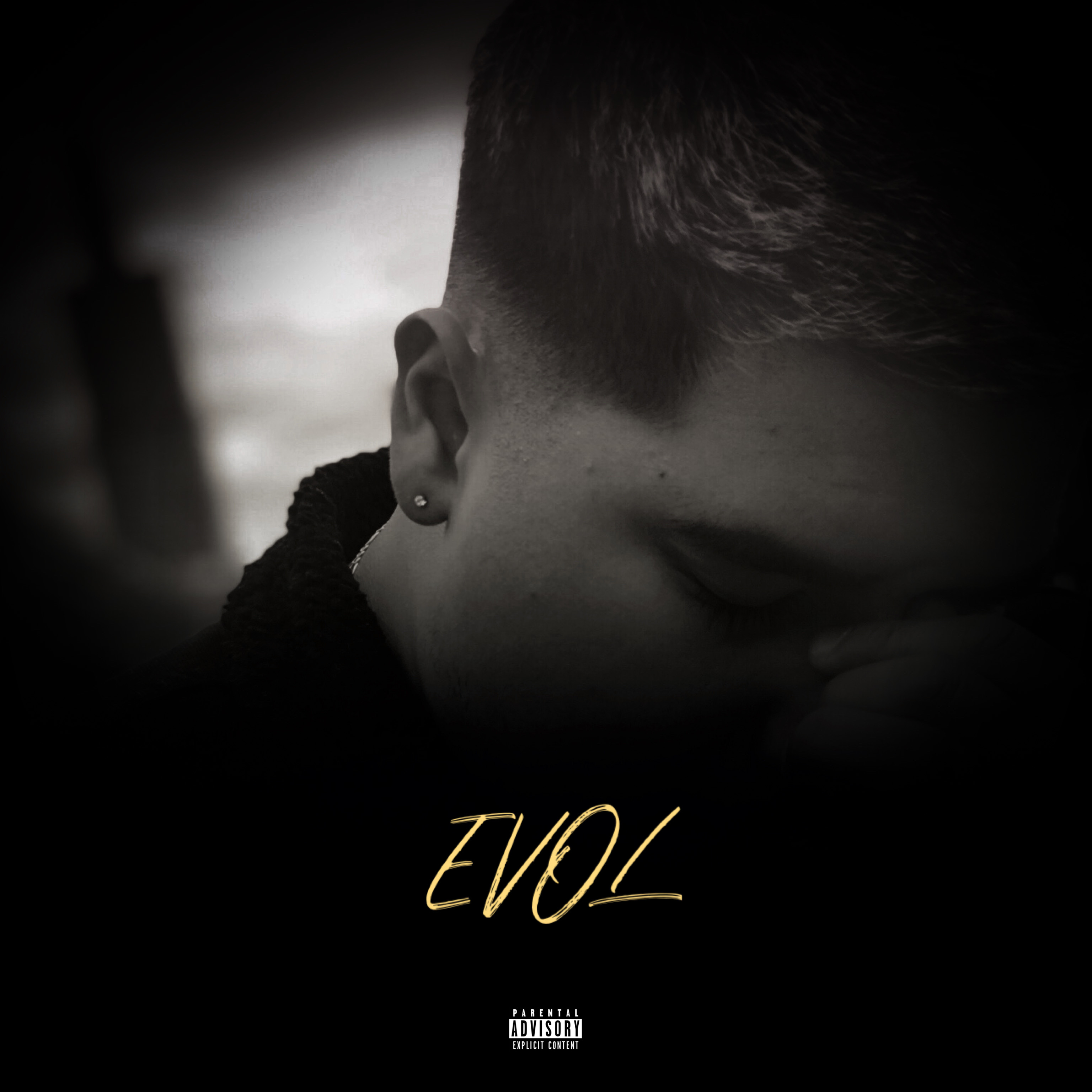 EVOL (DELUXE) artwork