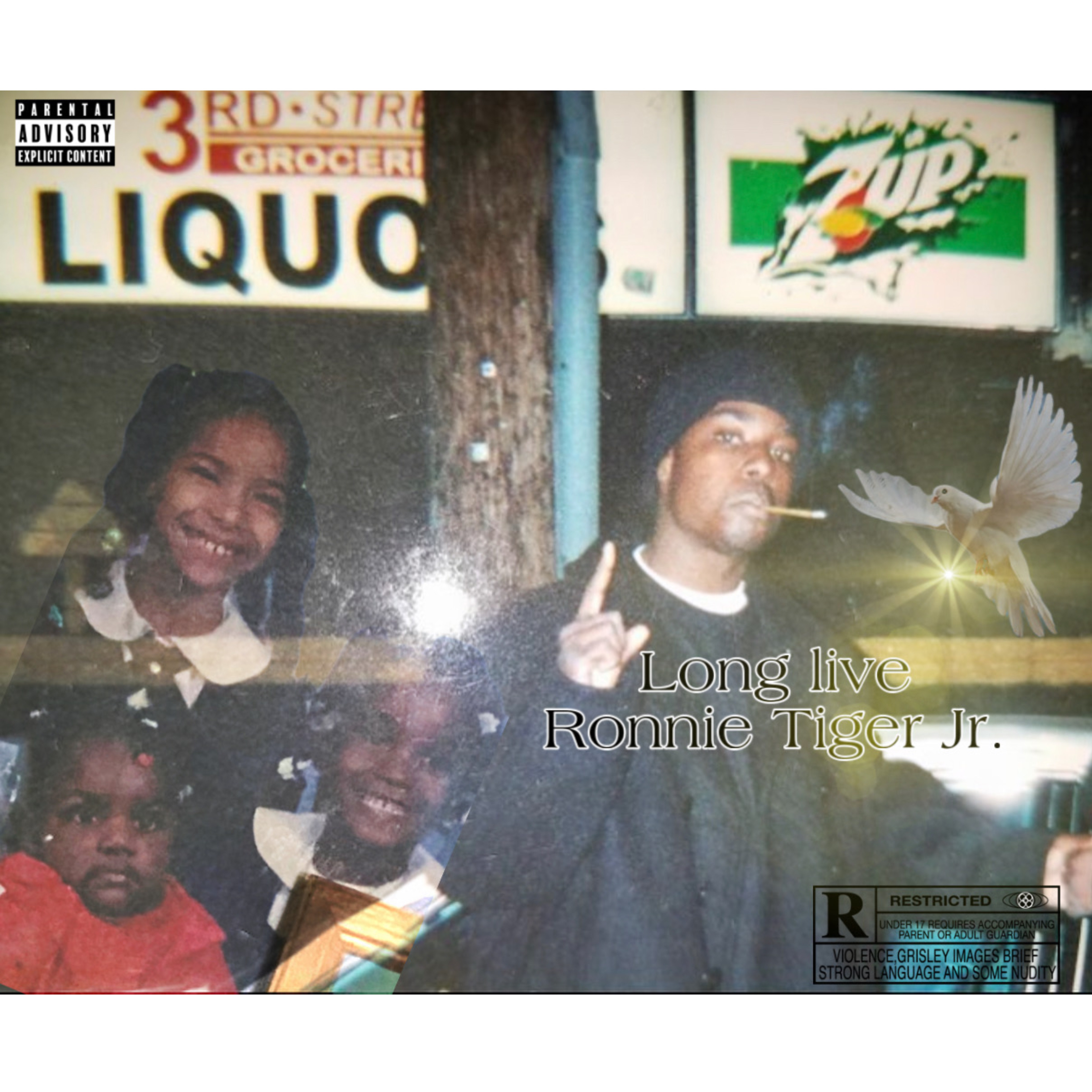 Put The Guns Down (R.I.P Ronnie Tiger Jr.) artwork