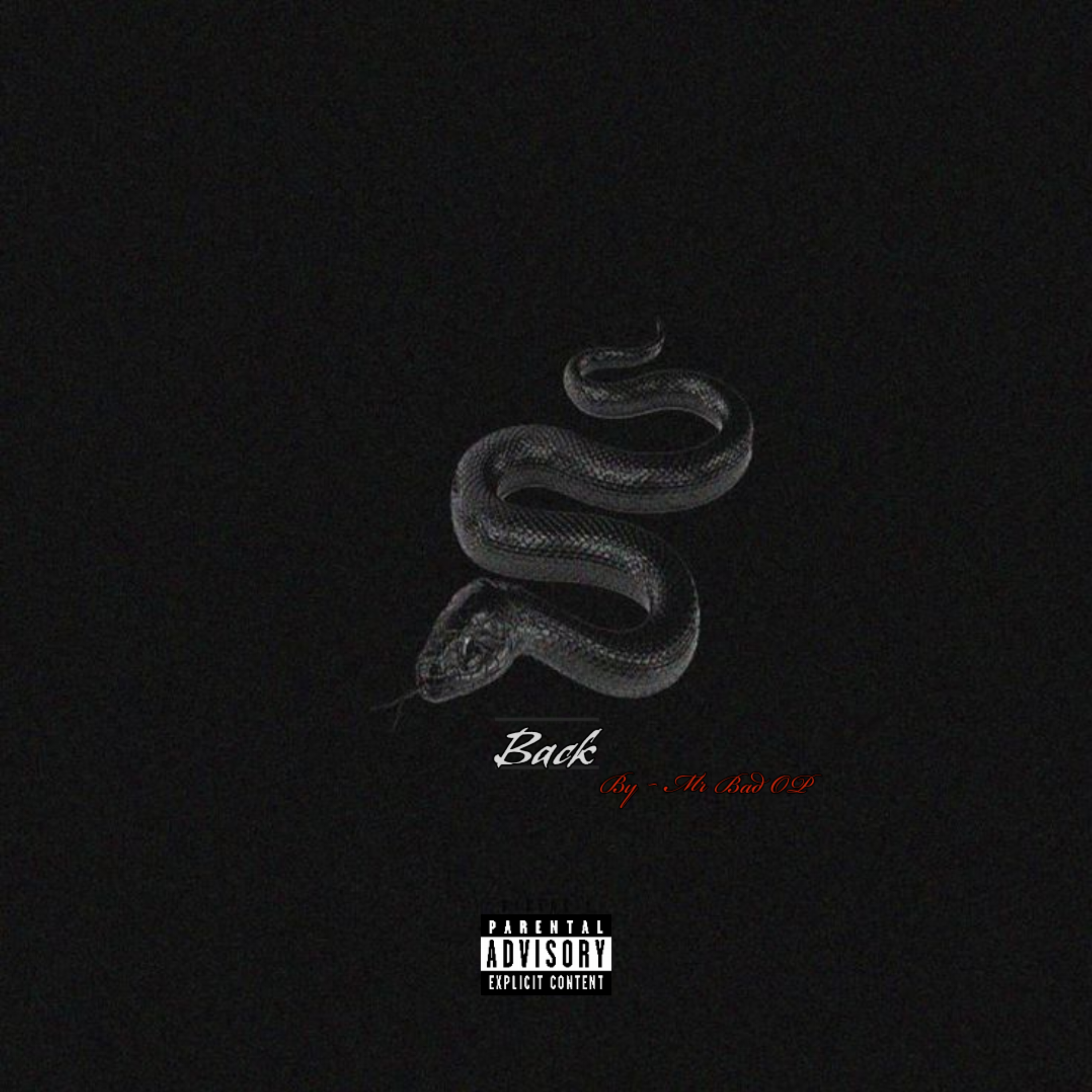 Back artwork