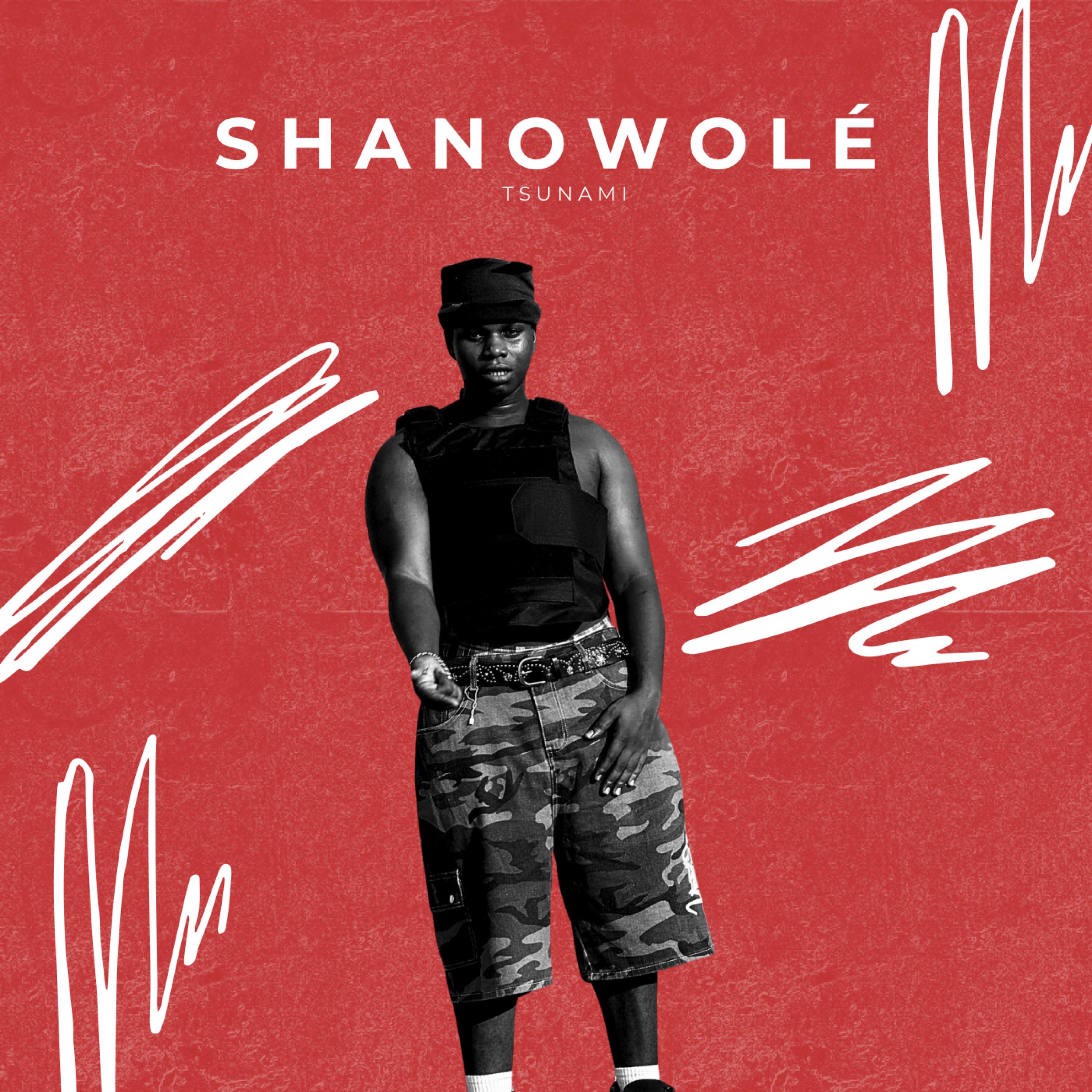 Shanowolé artwork