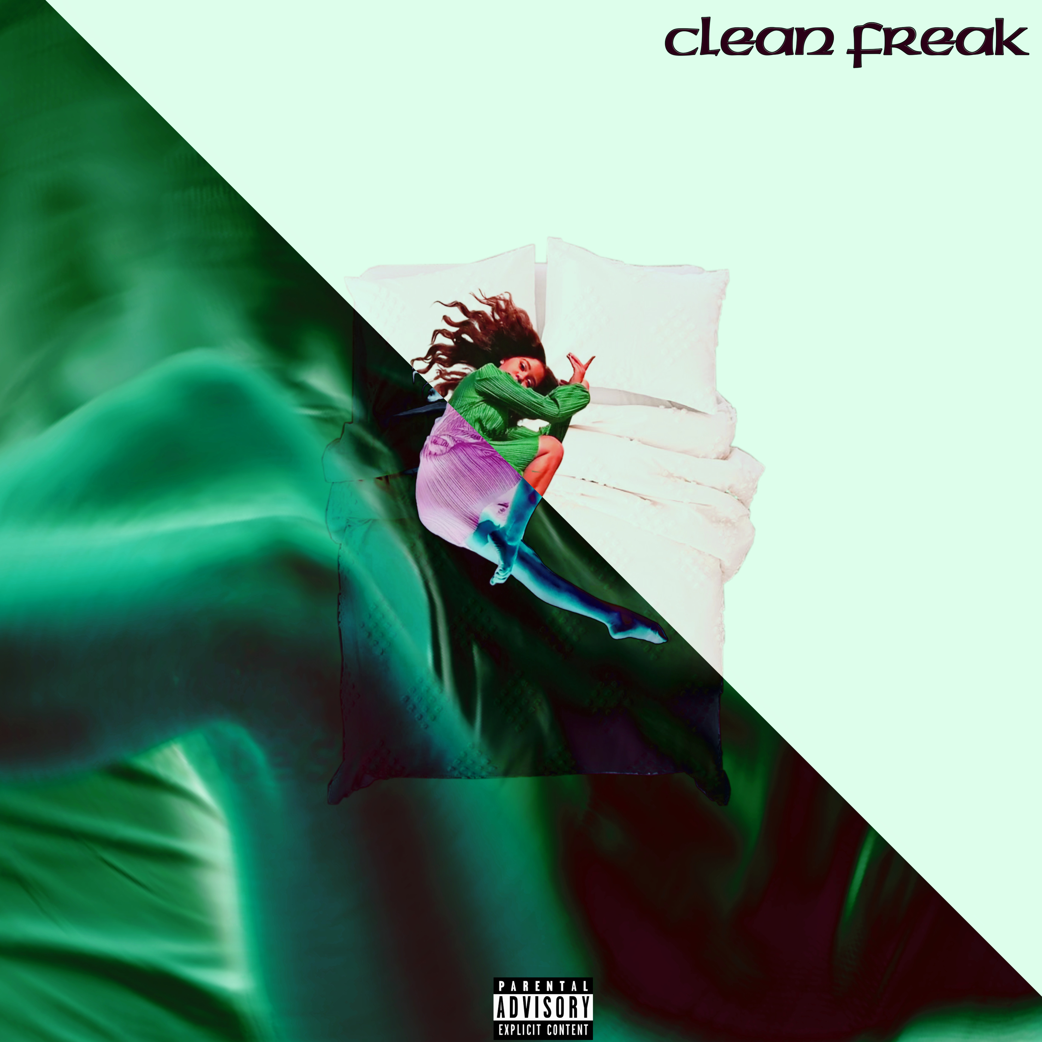 Clean Freak artwork