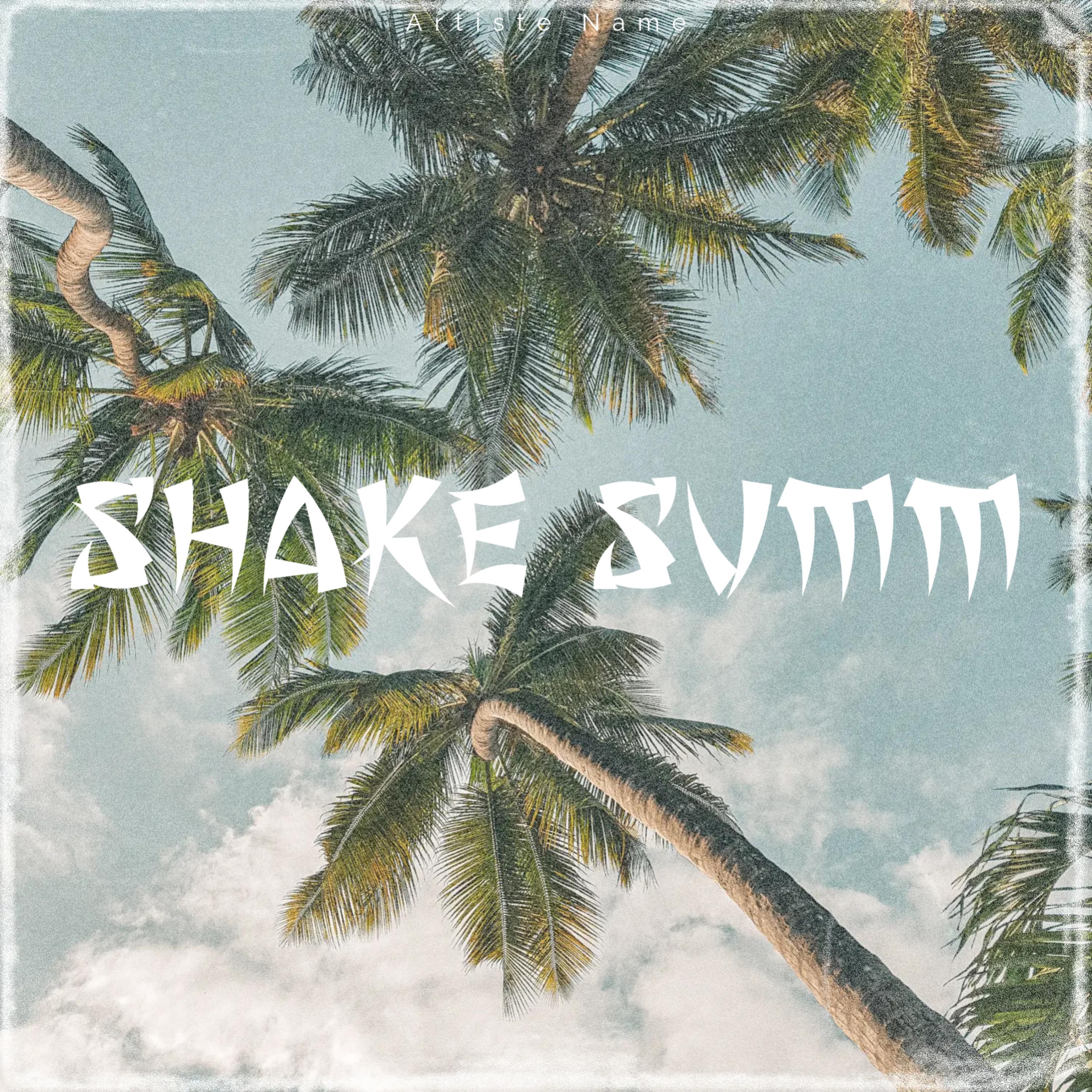 Shake Summ artwork