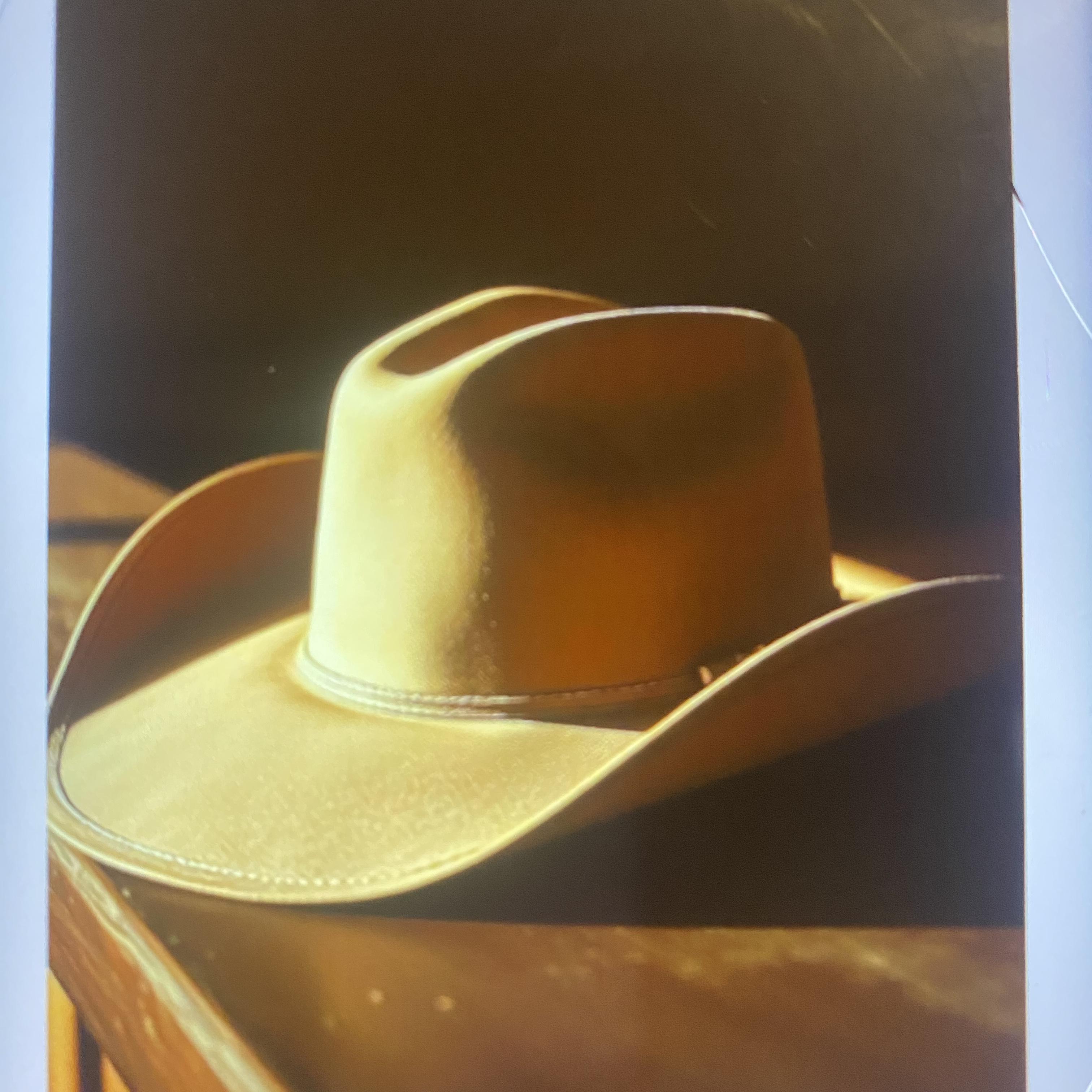 The Cowboy Fades Away artwork