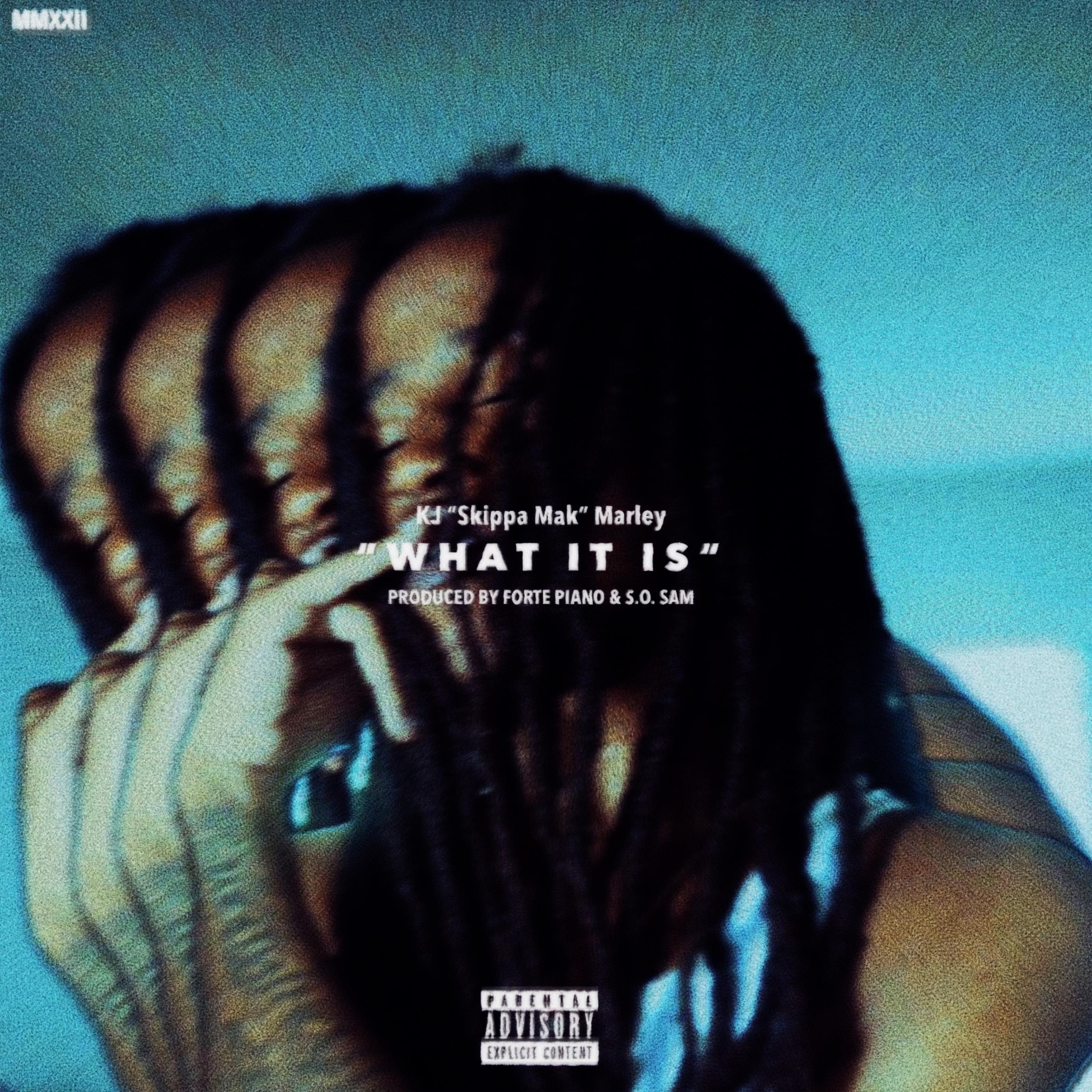 What it Is artwork