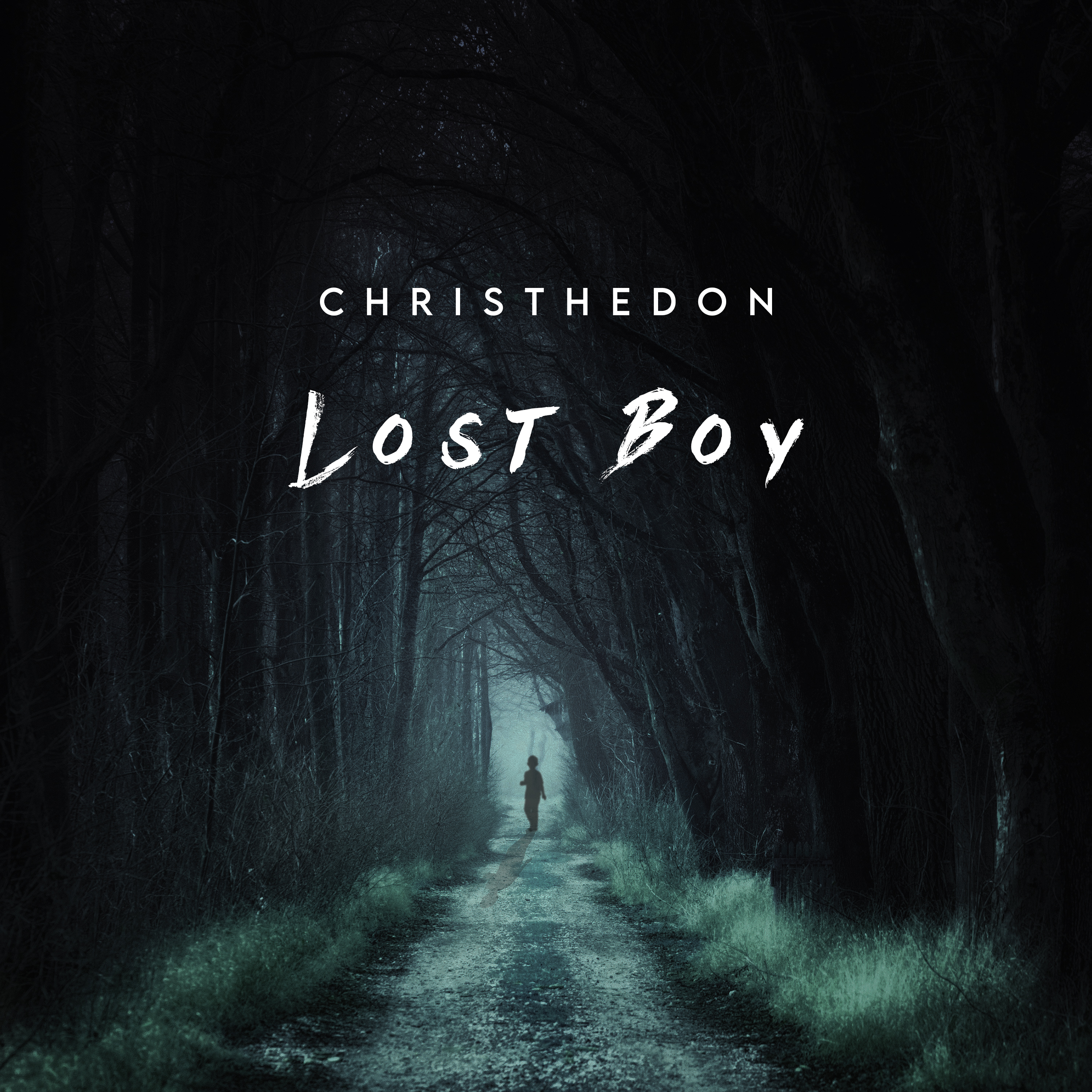 Lost Boy artwork