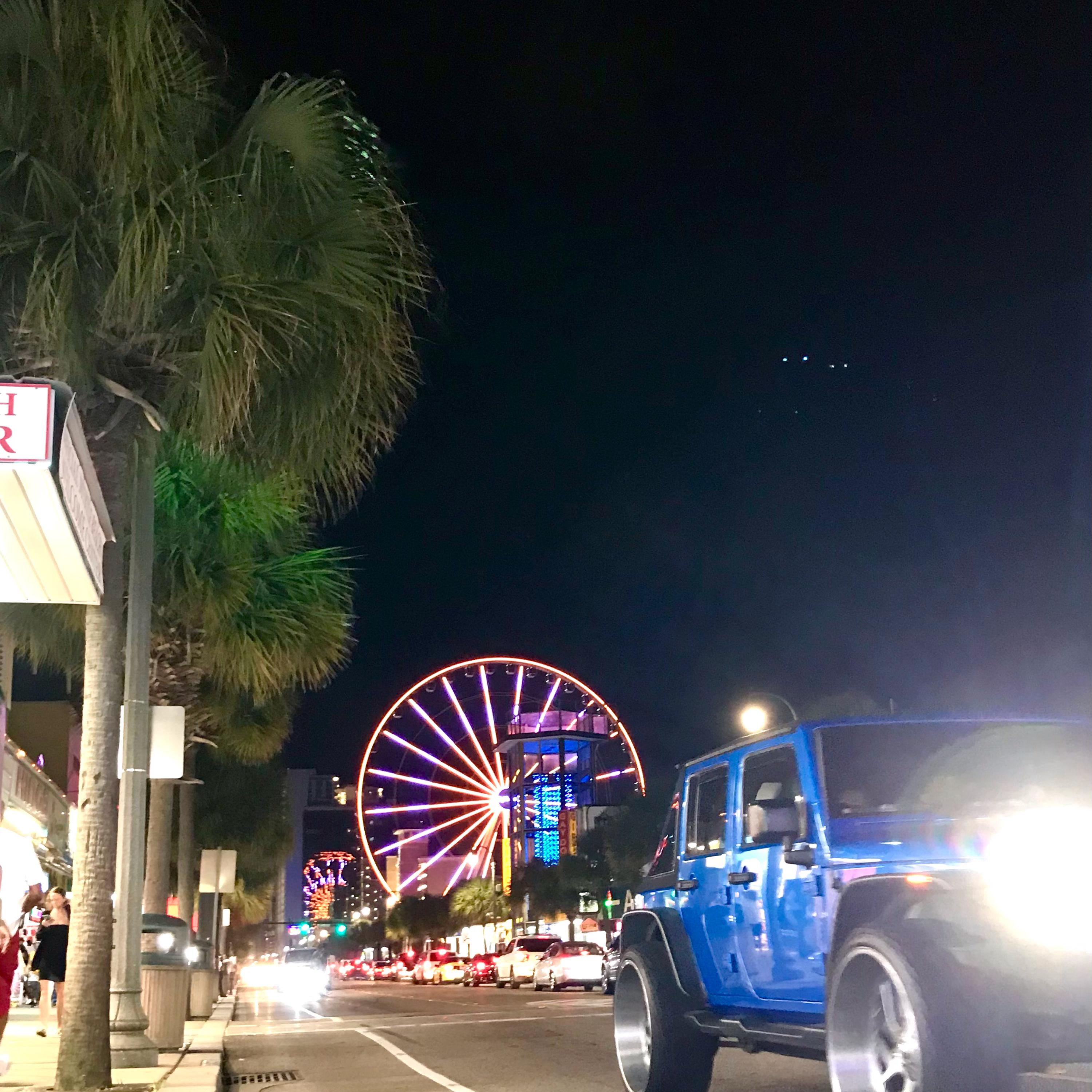 Palm City artwork