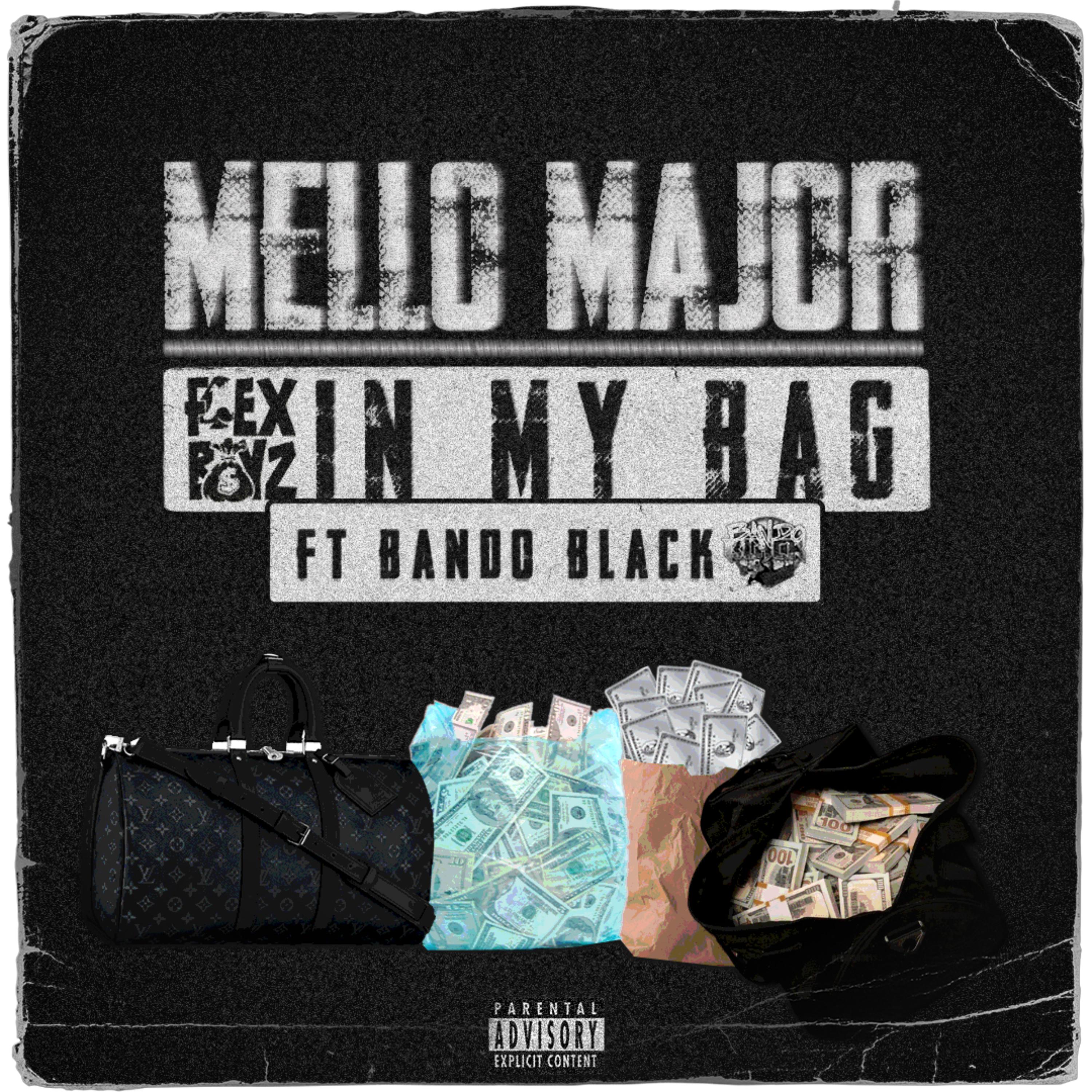IN MY BAG artwork