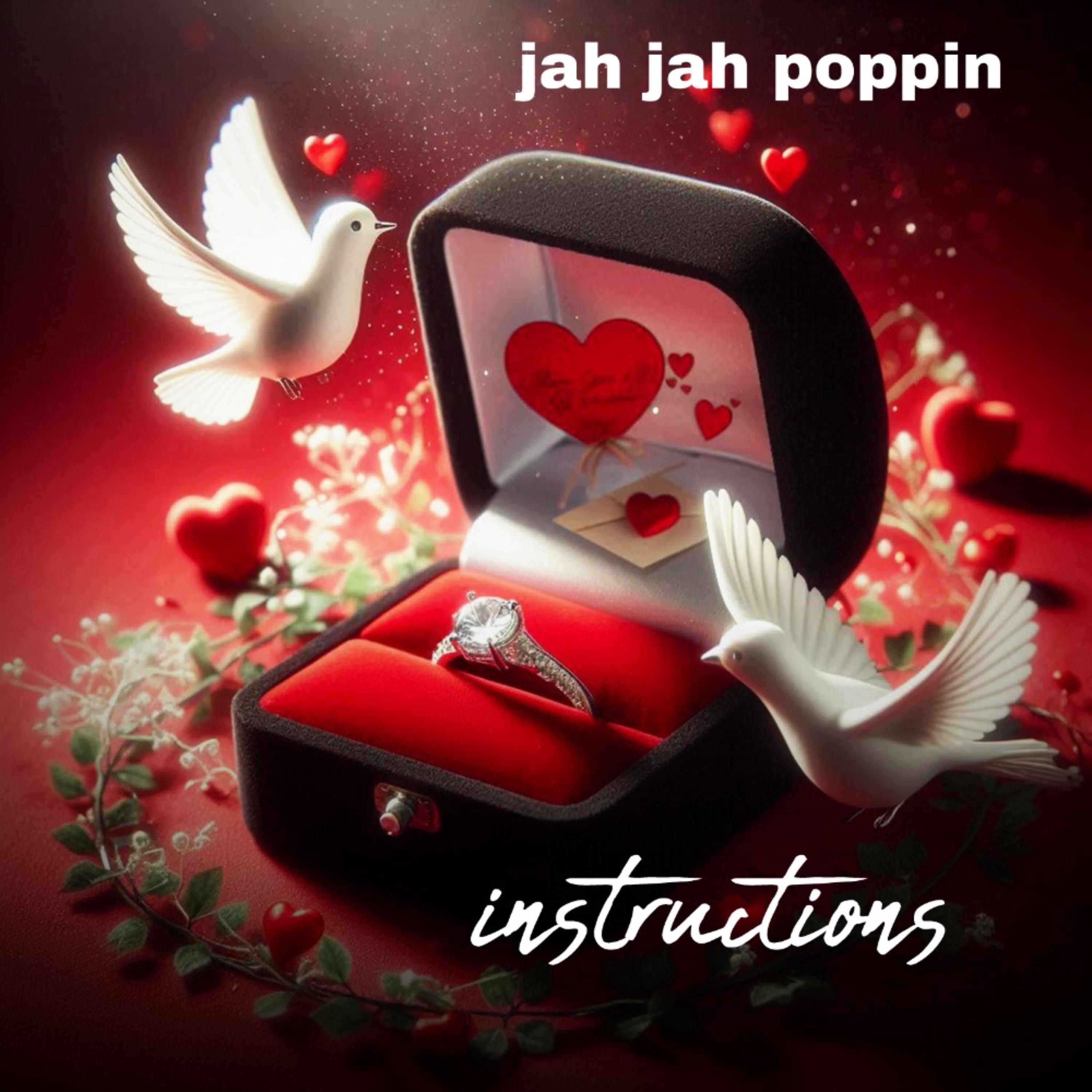 Instructions artwork