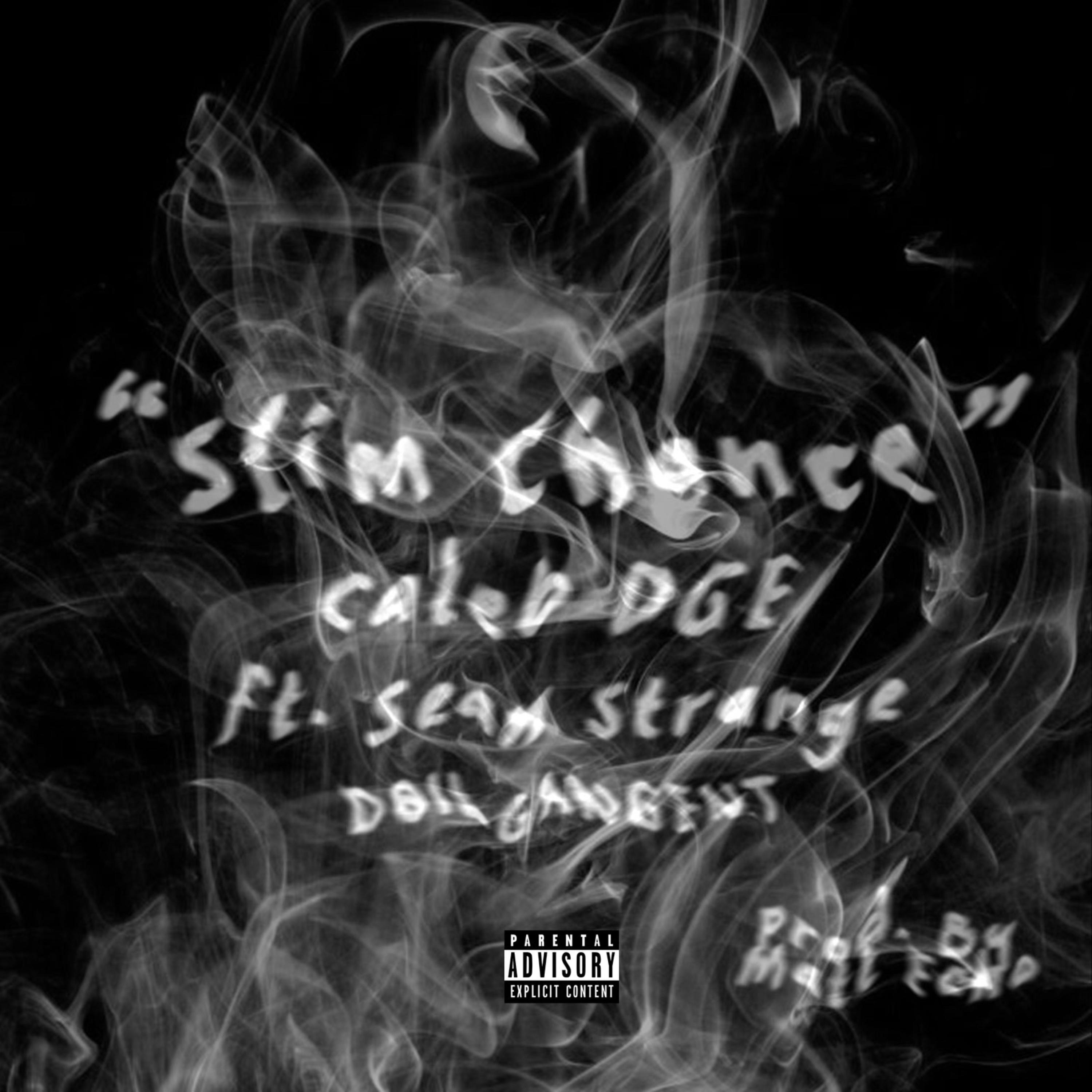 Slim Chance artwork