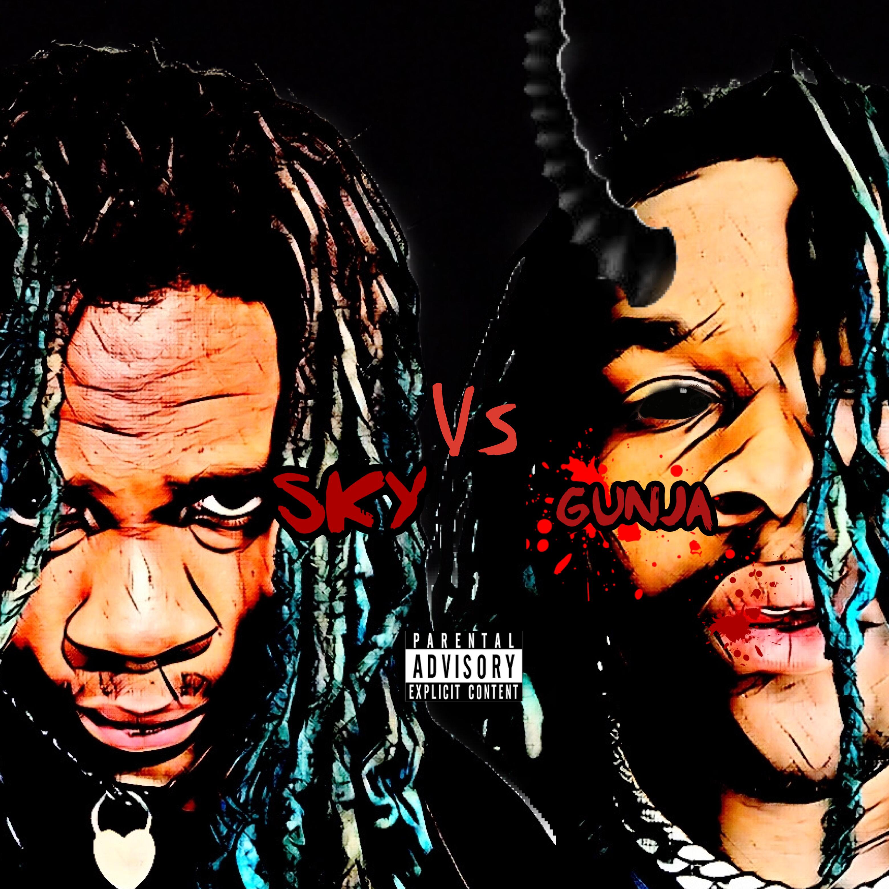 Sky Vs Gunja artwork