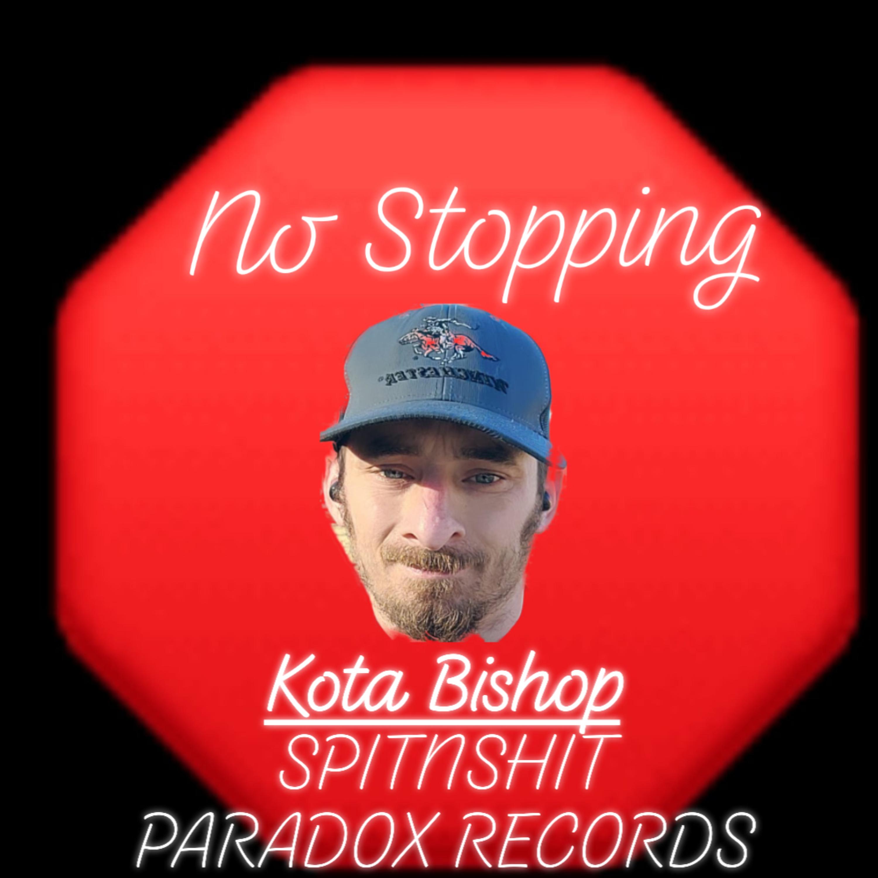 No Stopping  by Dakota Bishop cover art