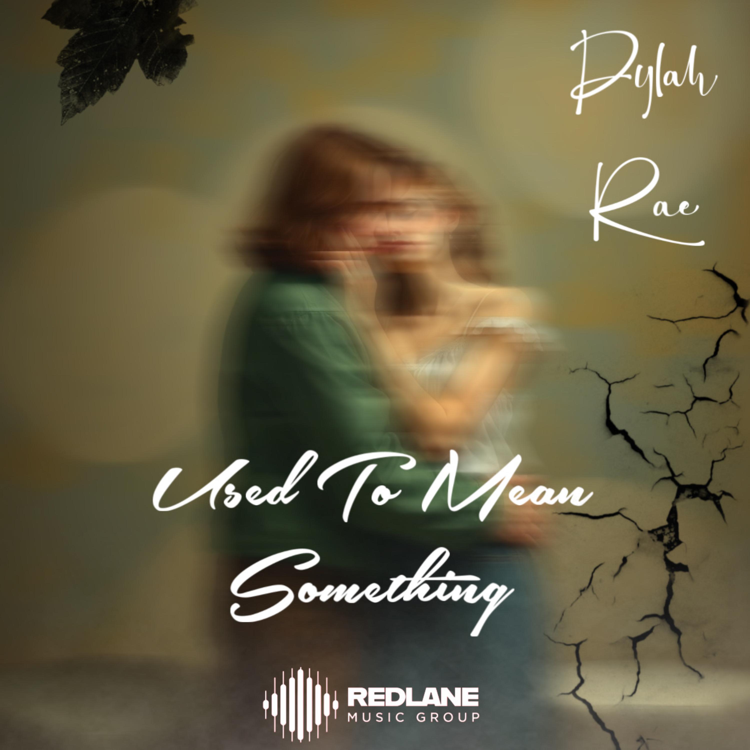 Used To Mean Something artwork