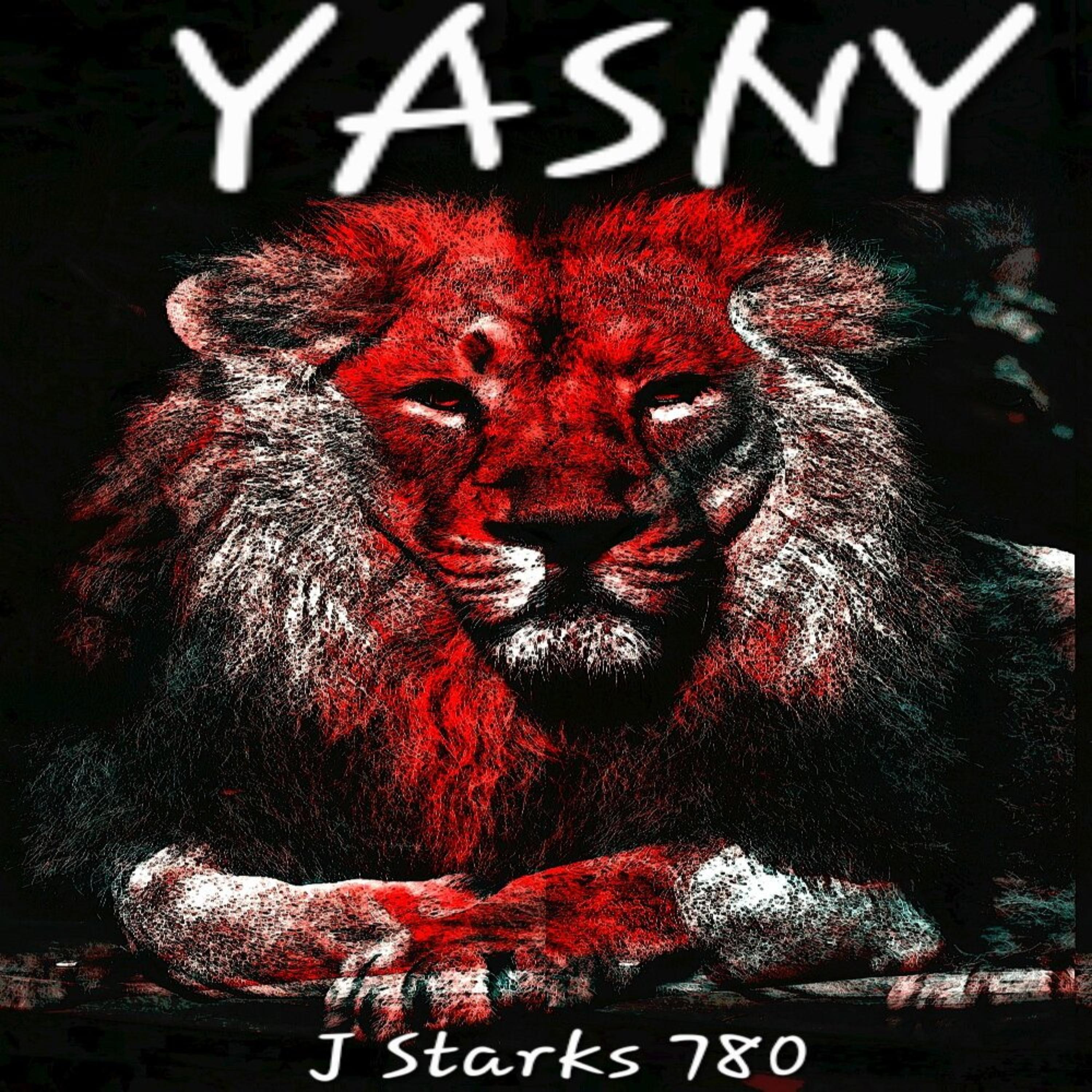 YASNY artwork