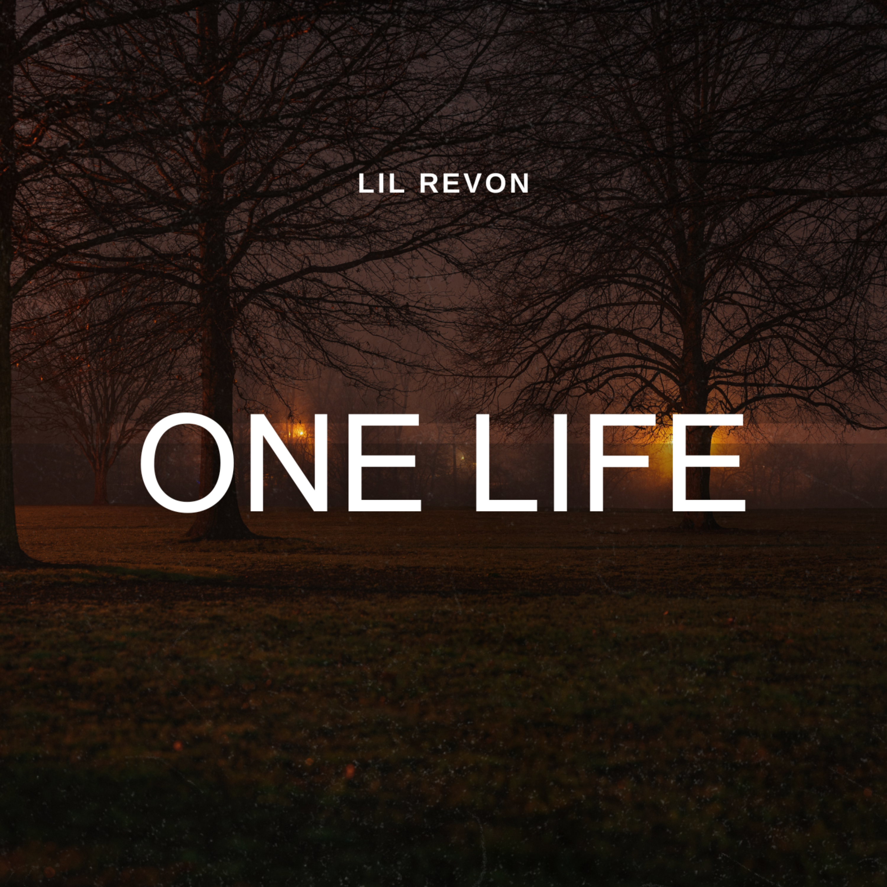 One Life artwork
