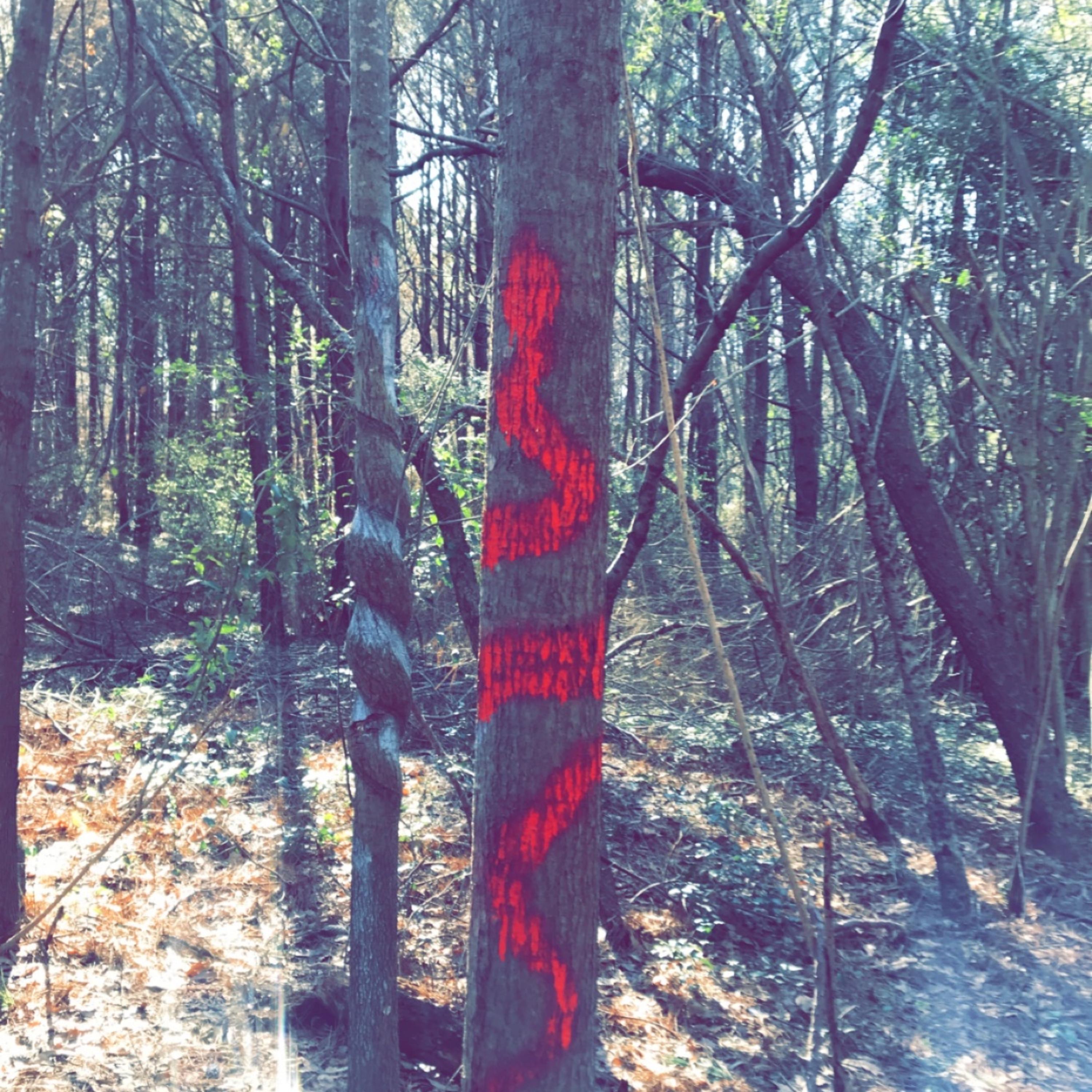 Ars Longa Vita Brevis artwork