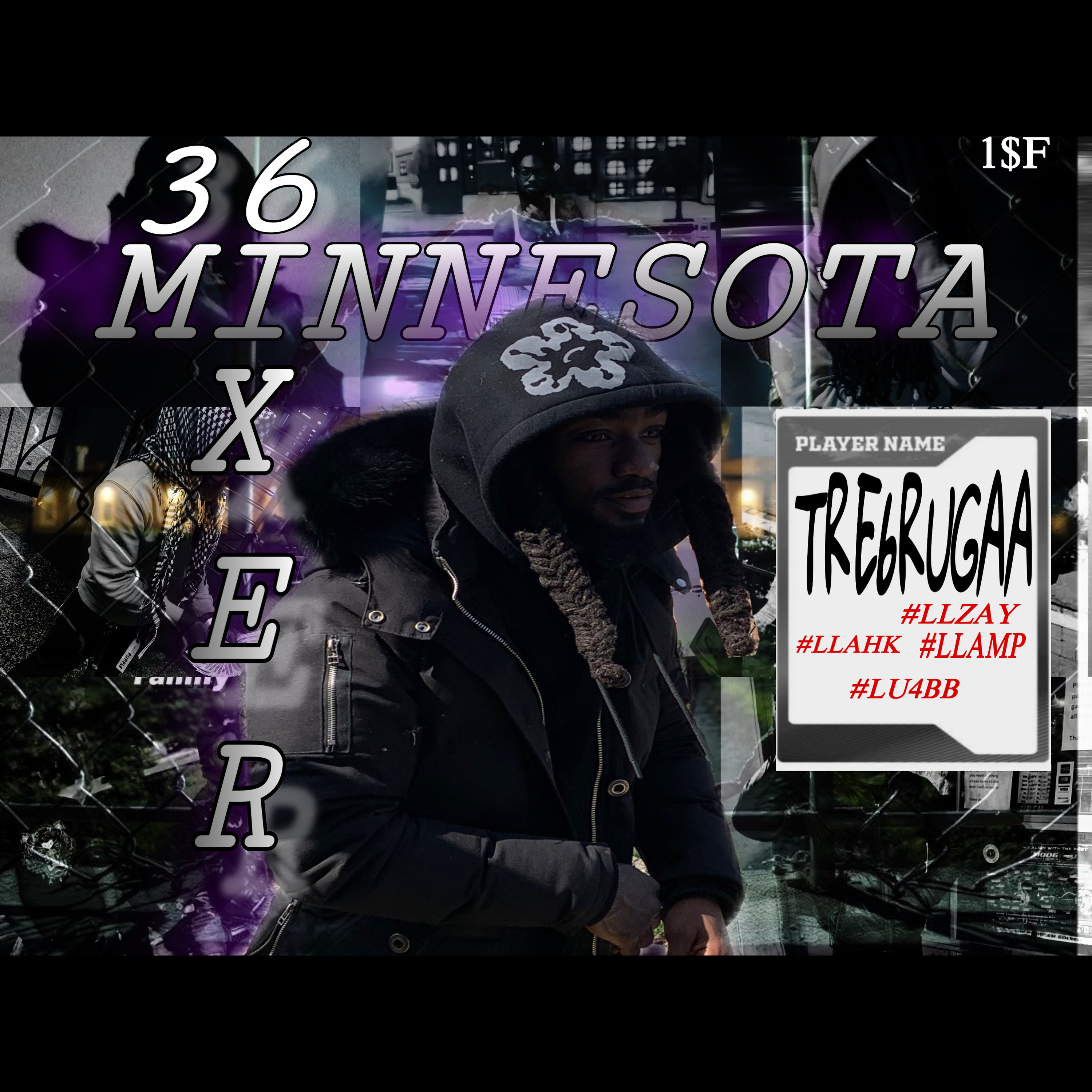 Minnesota 36ixer artwork