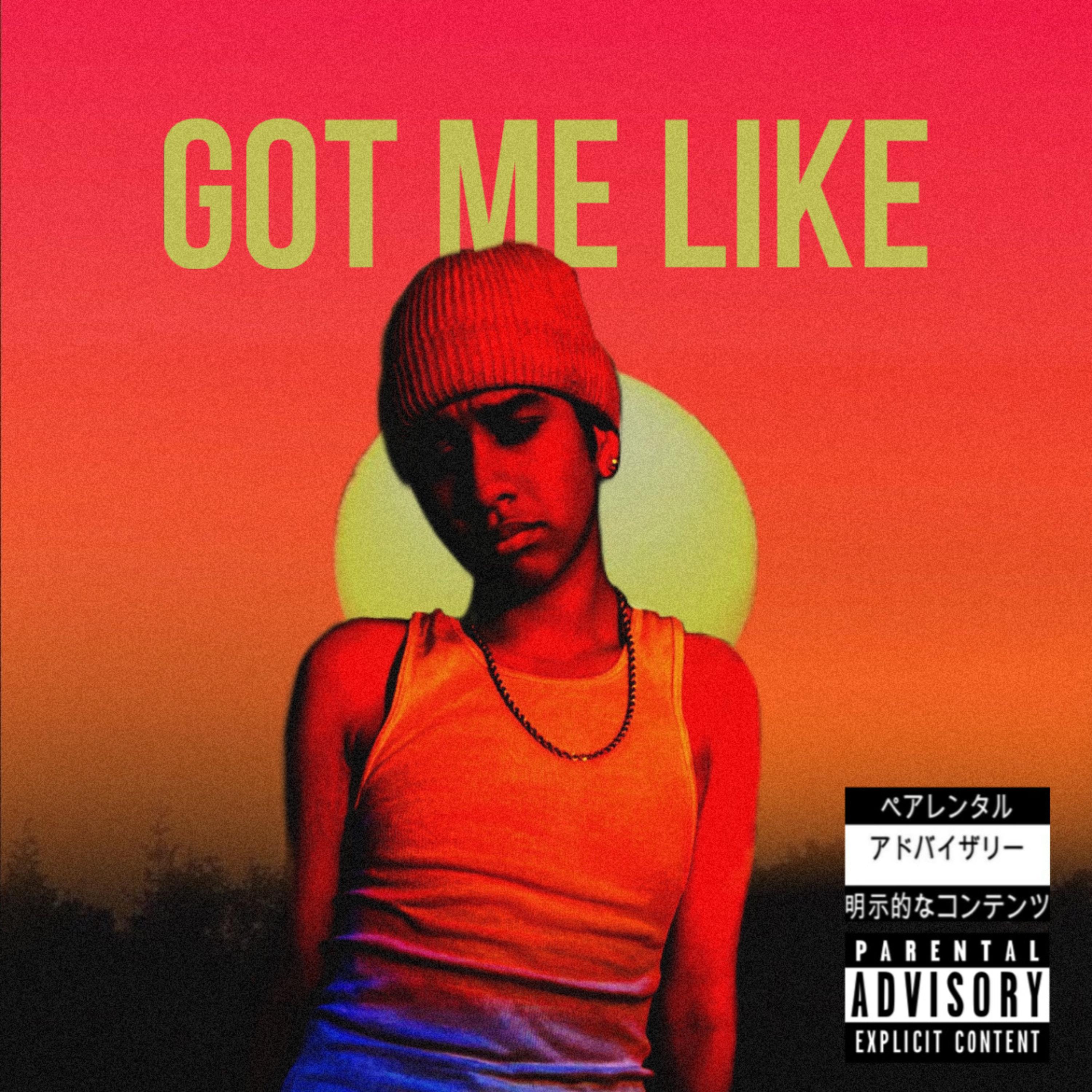 Got Me Like artwork