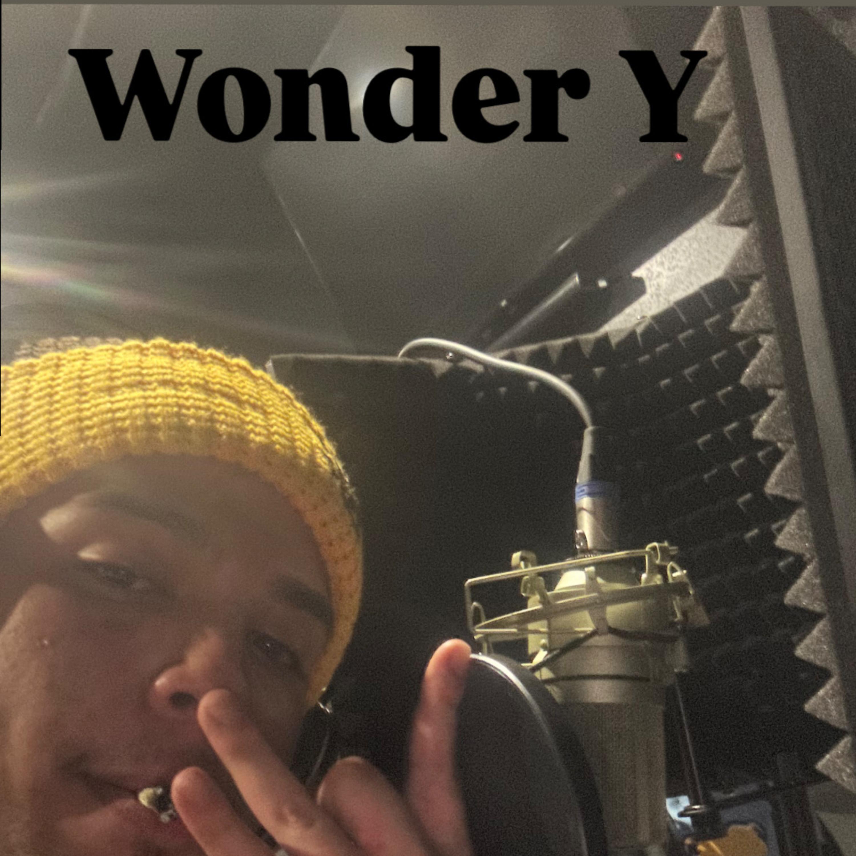 Wonder Y artwork