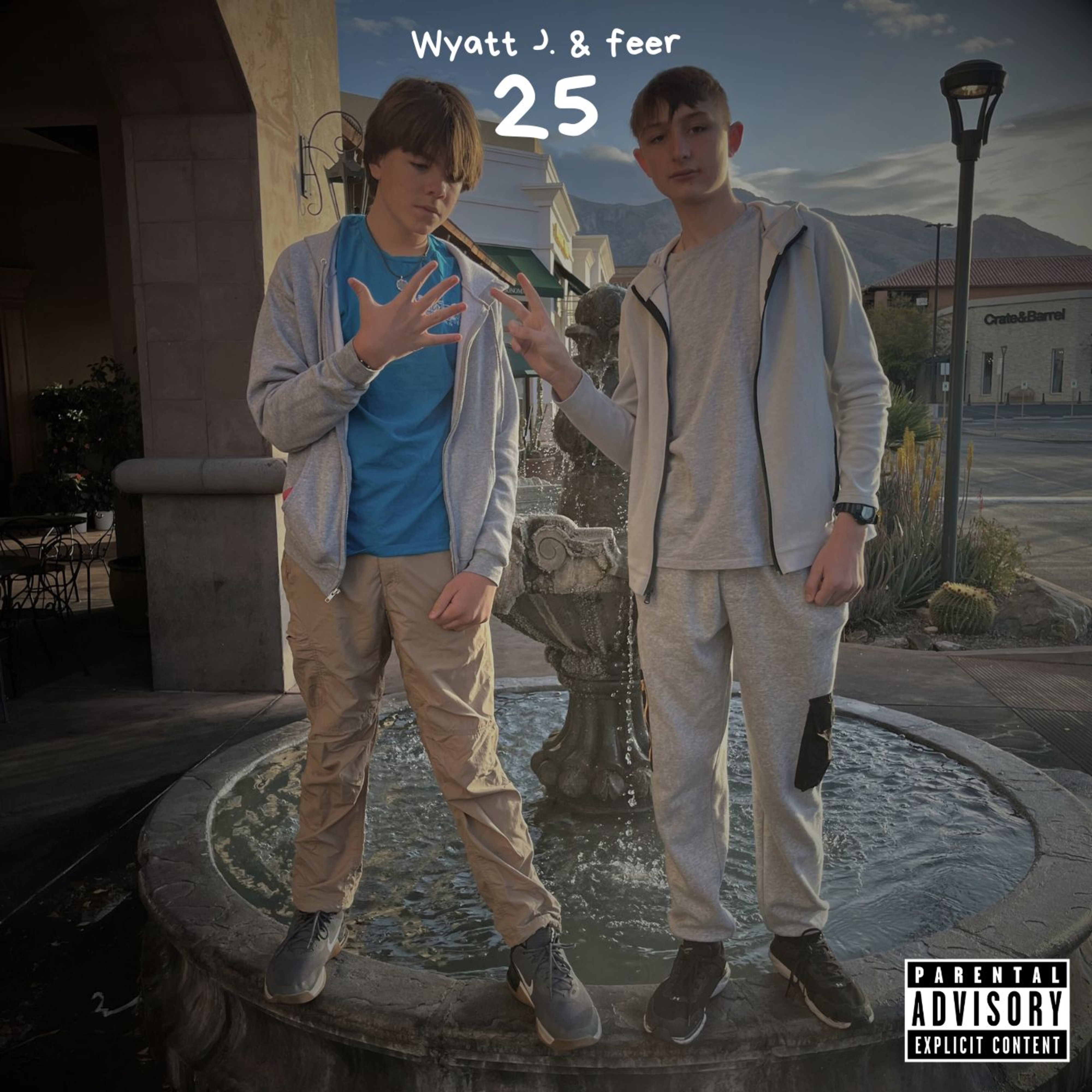 25 artwork
