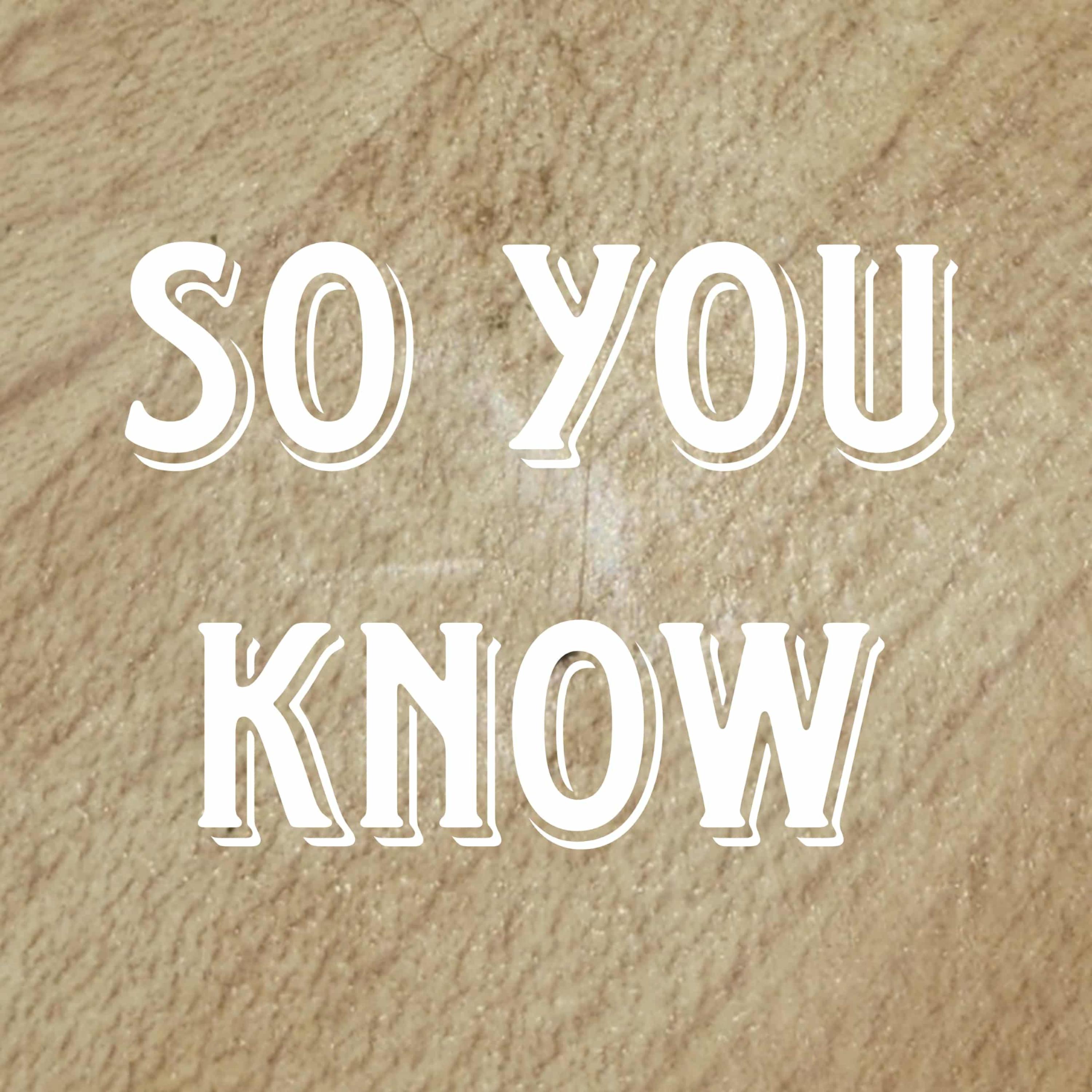So You Know artwork