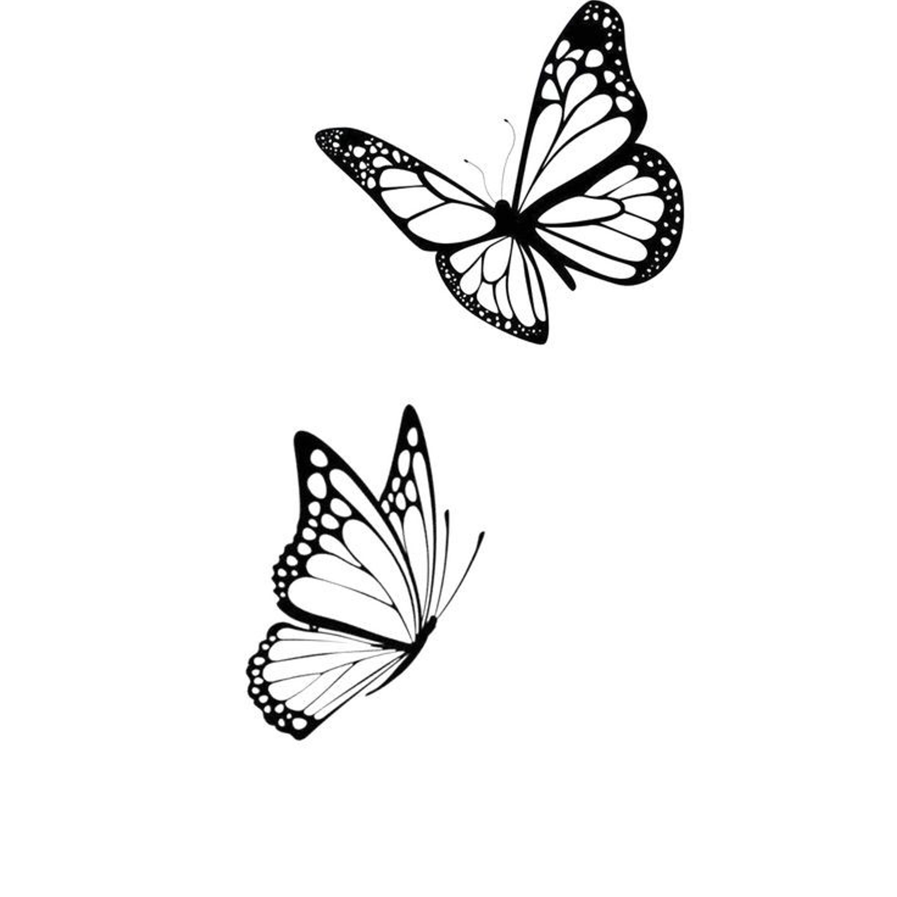 Butterfly artwork