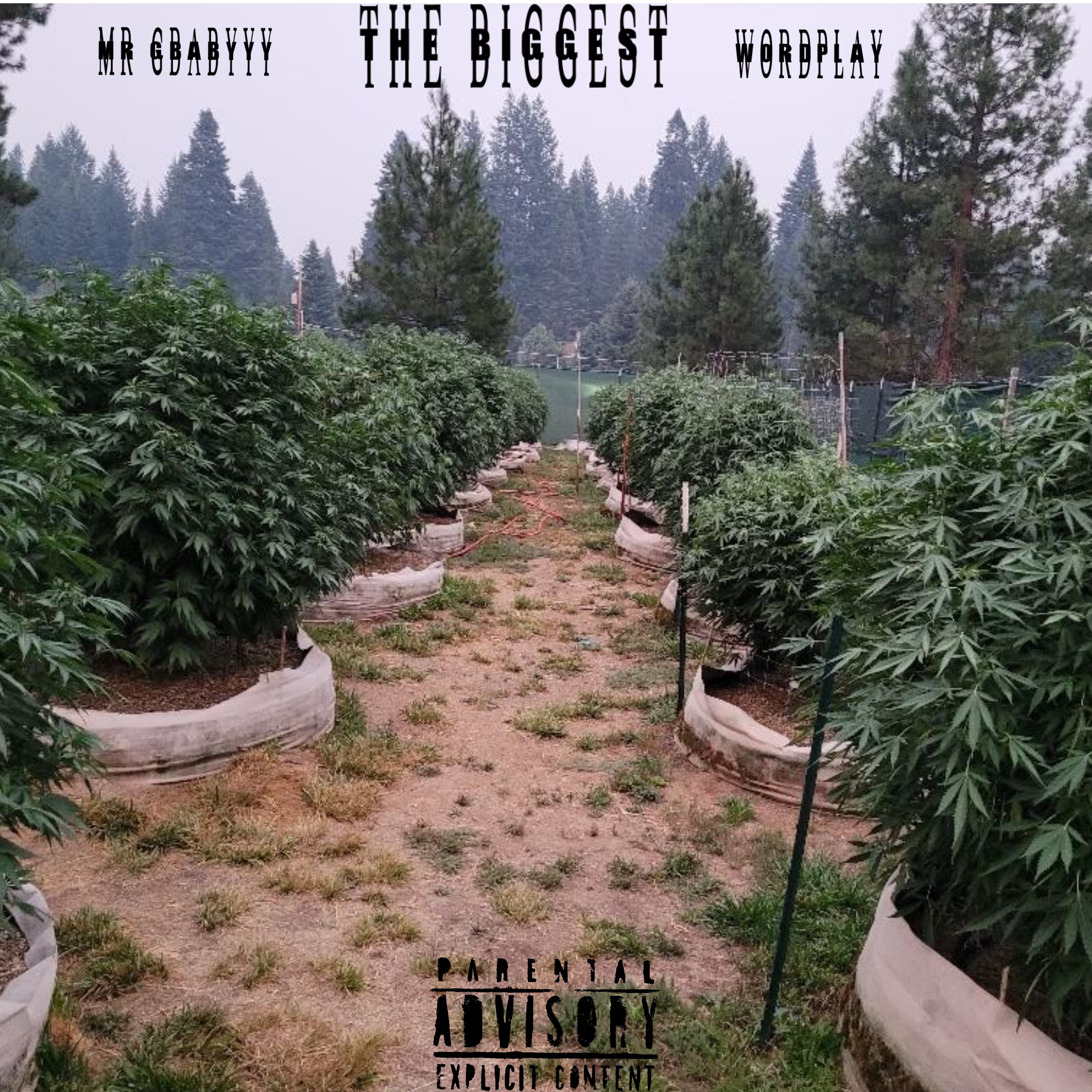 The Biggest artwork