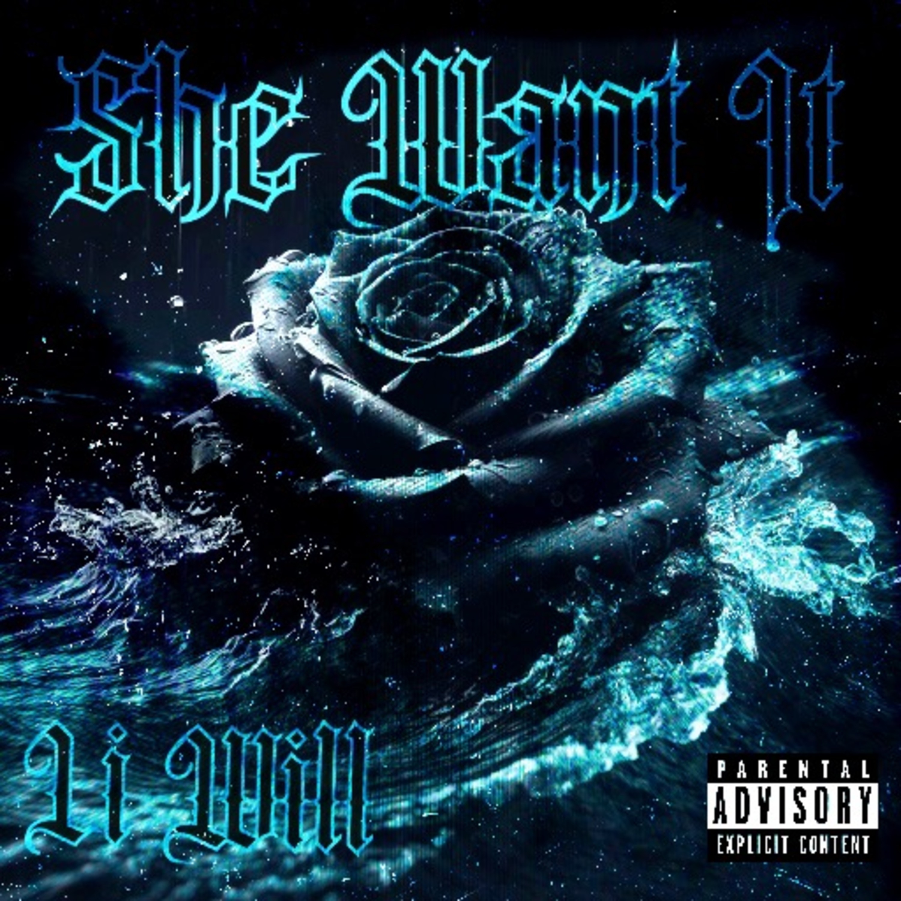 She Want It artwork