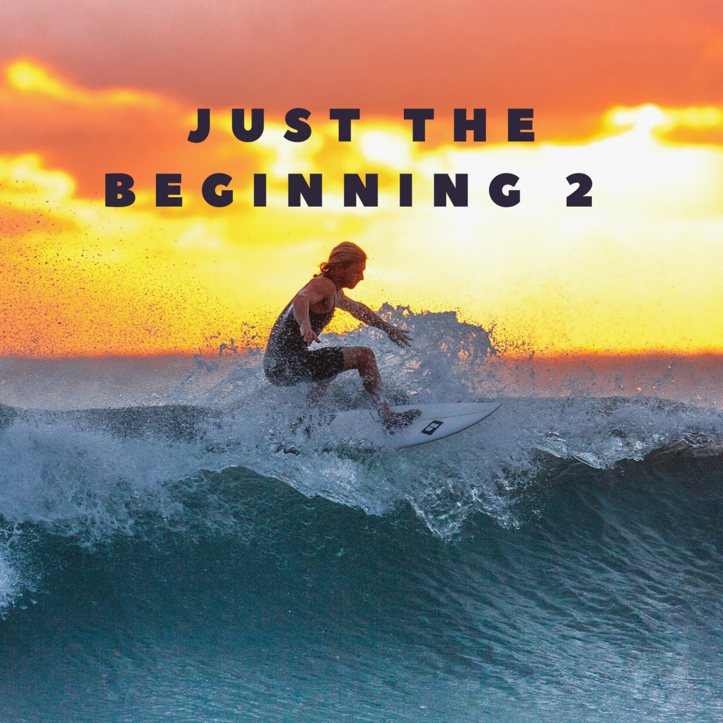 Just The Beginning 2 artwork