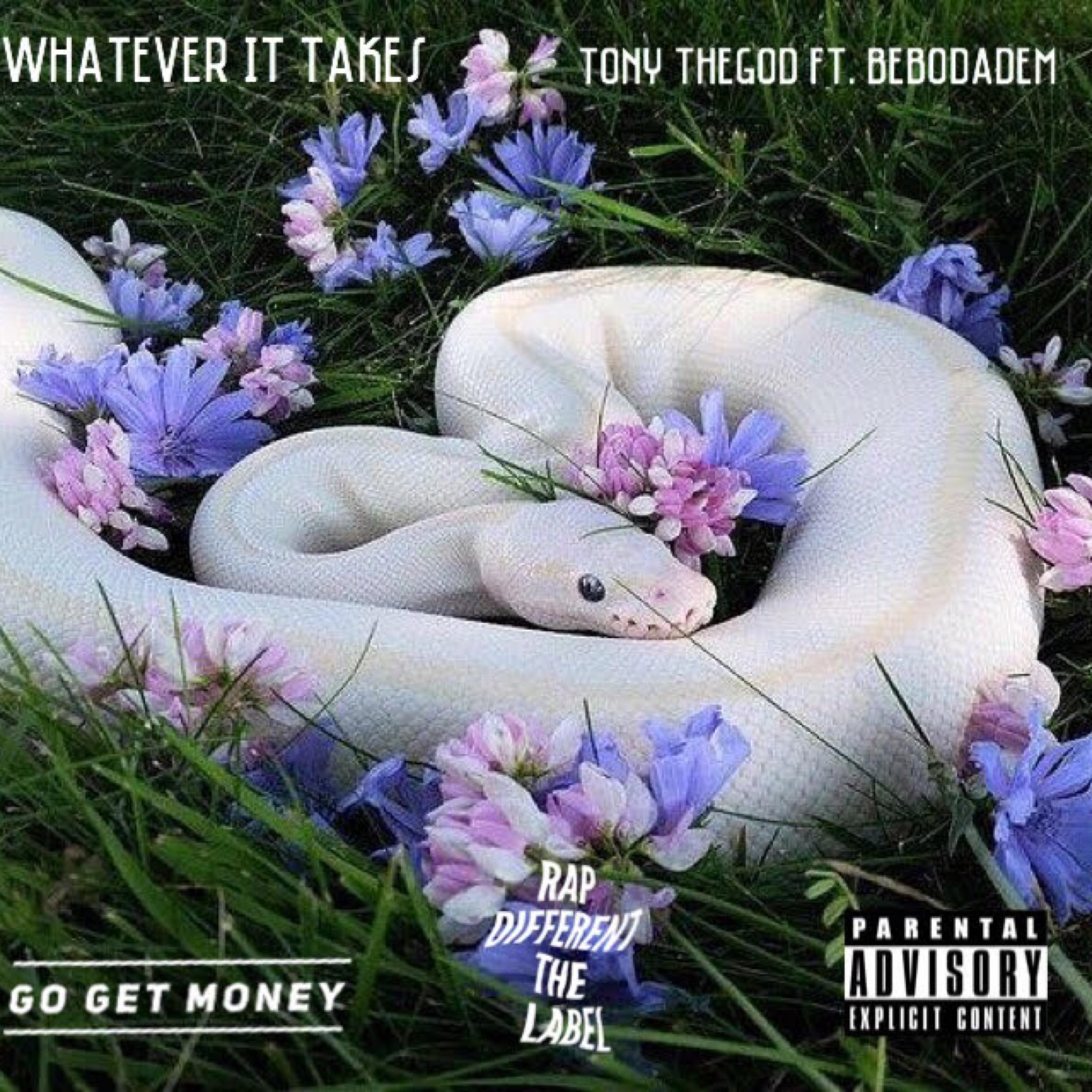 Whatever It Takes artwork