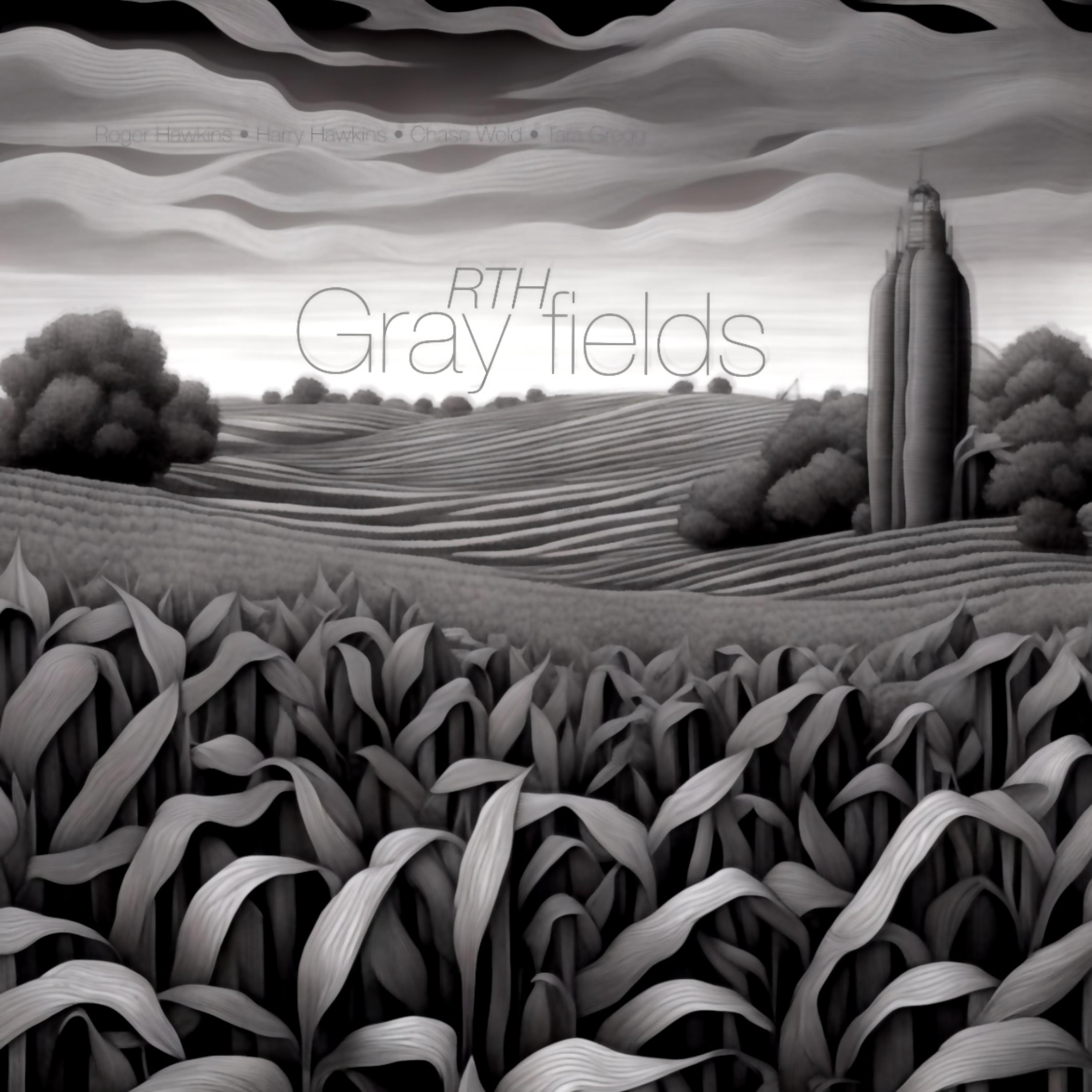 Gray fields artwork