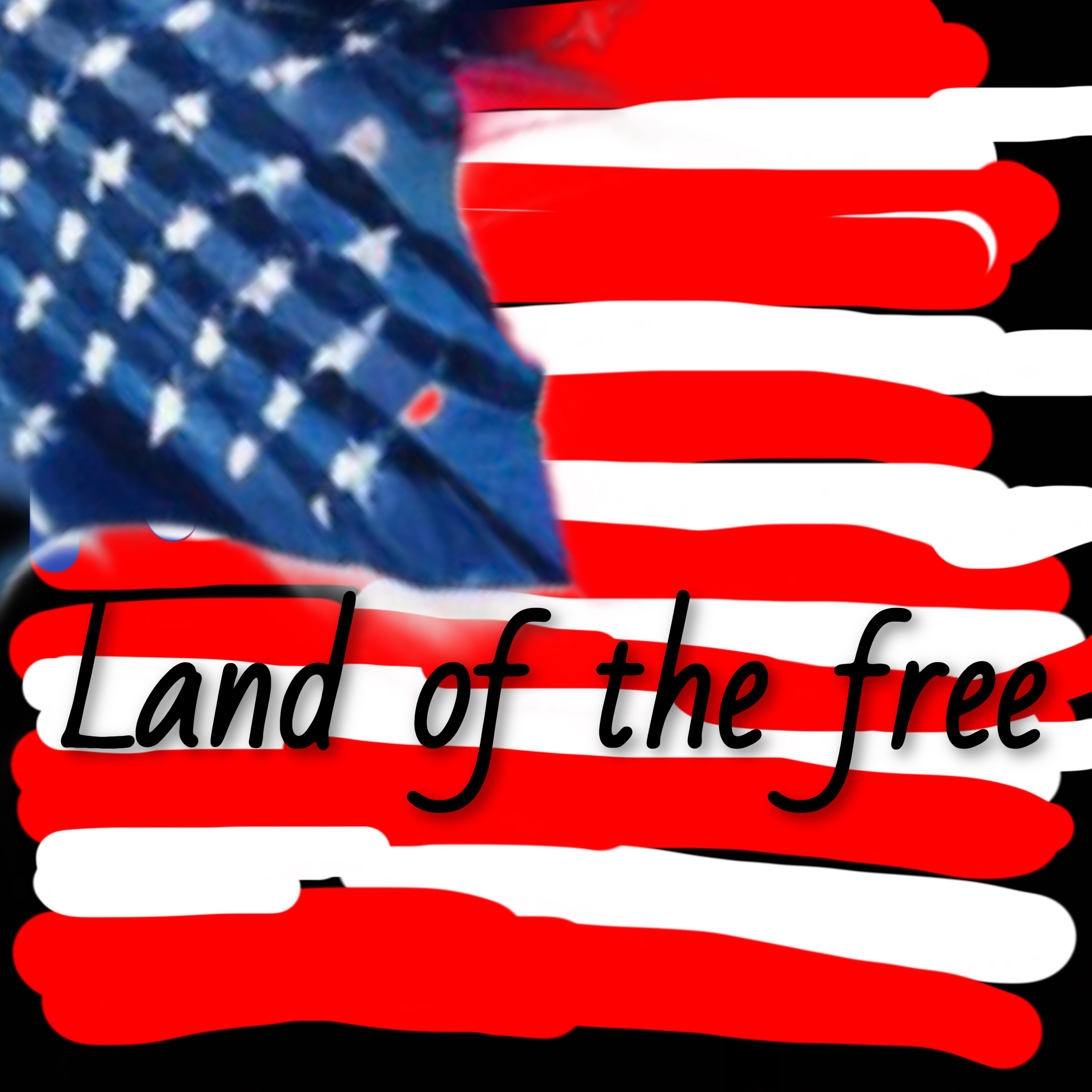 Land Of The Free artwork