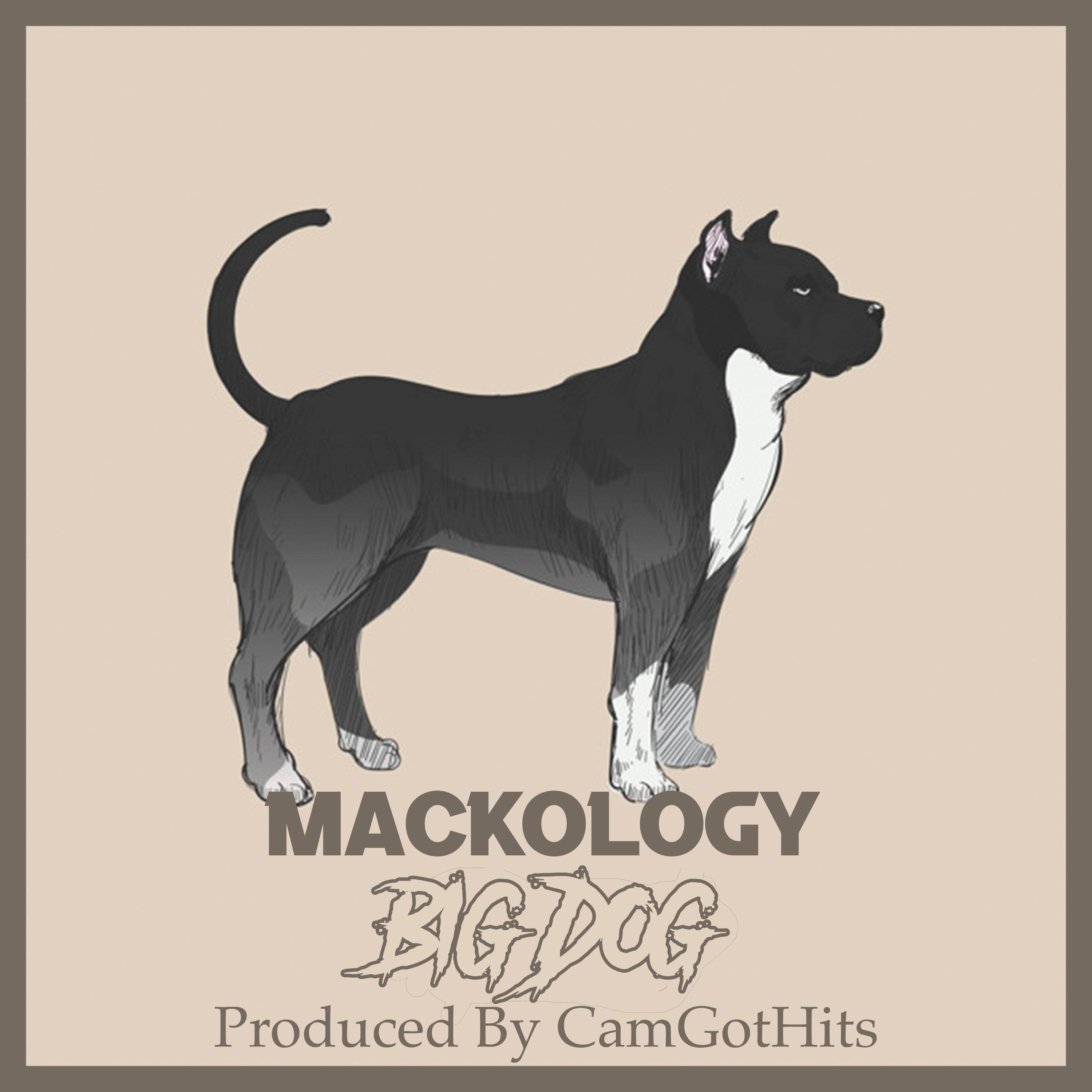 Big Dog artwork