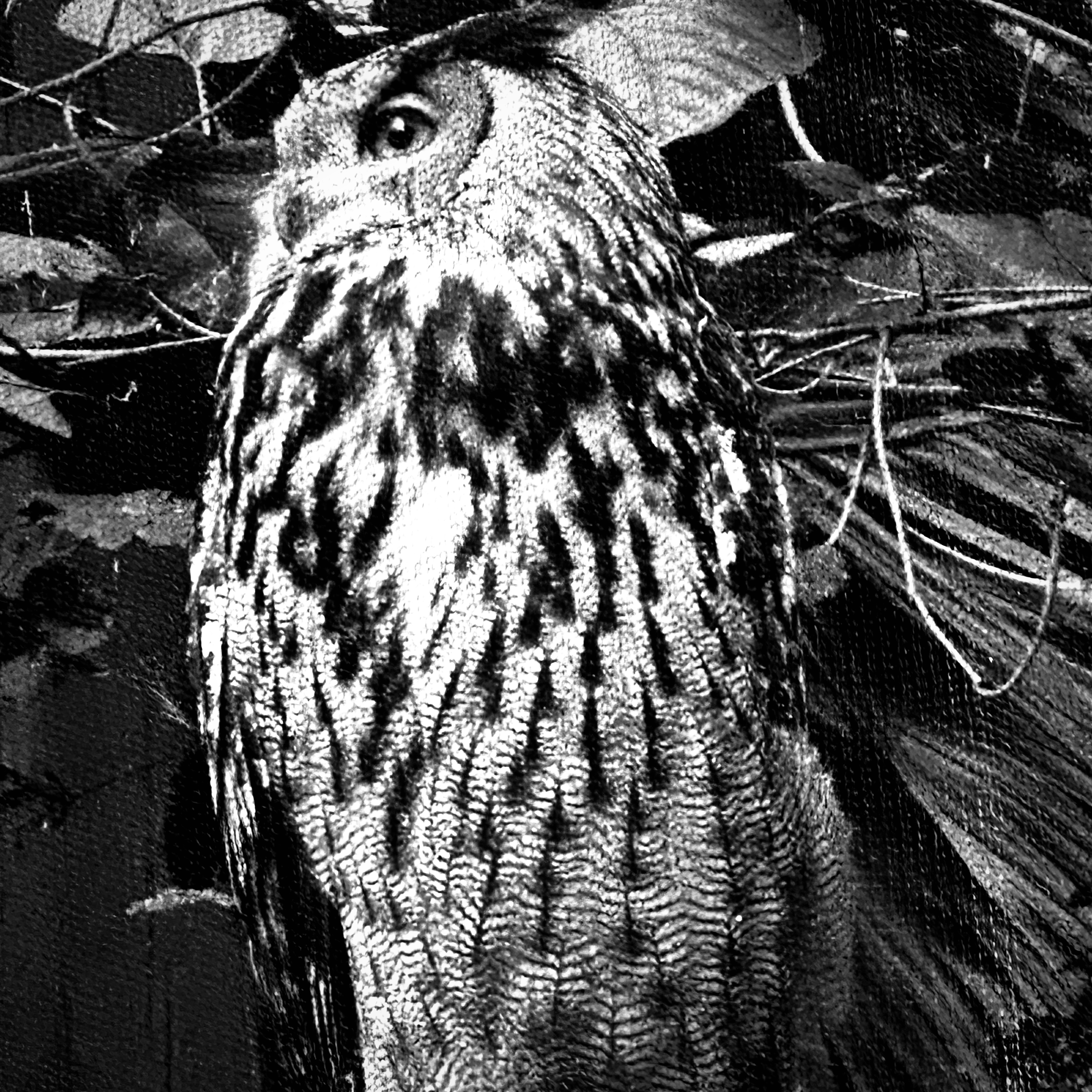 Heaven Exist artwork