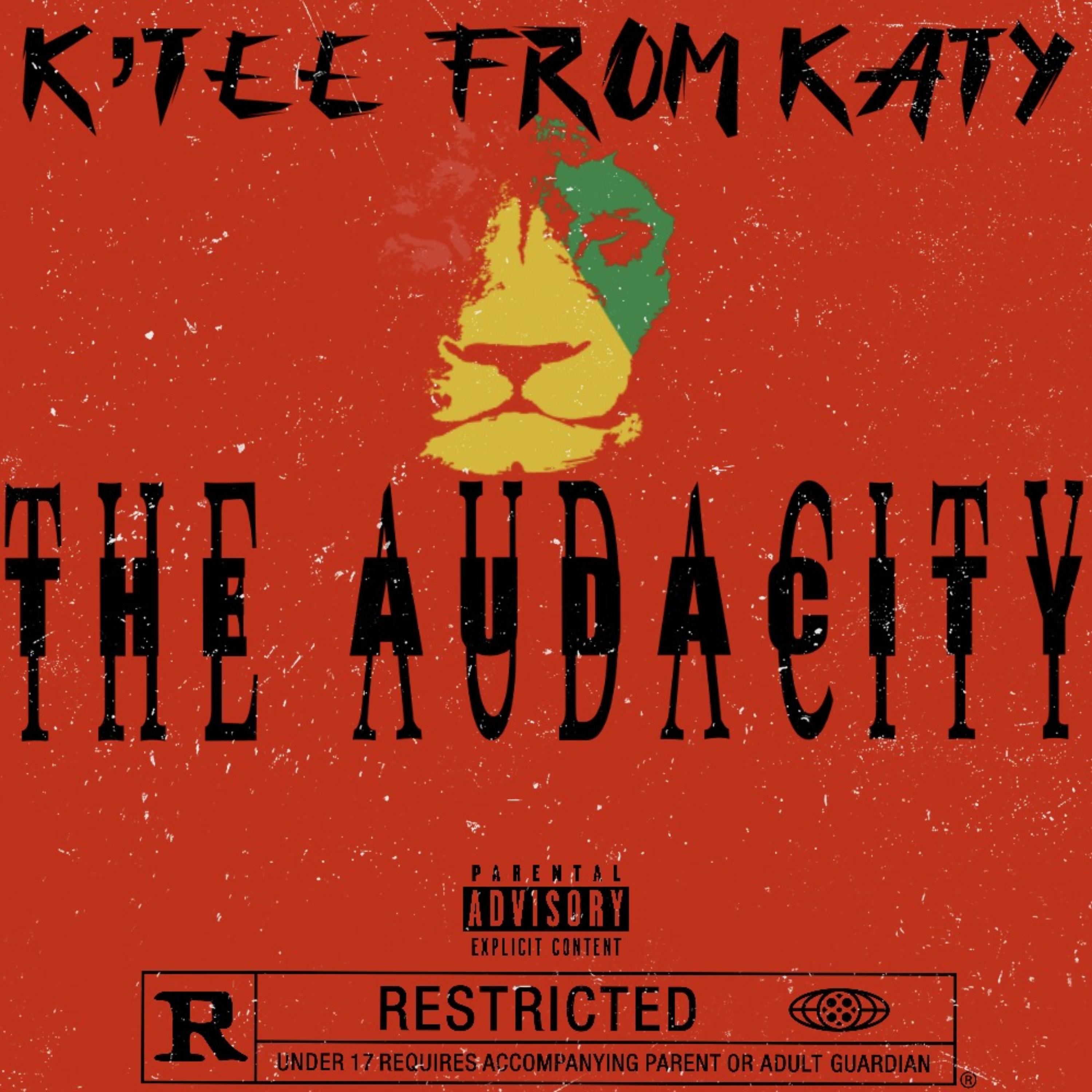 The Audacity artwork