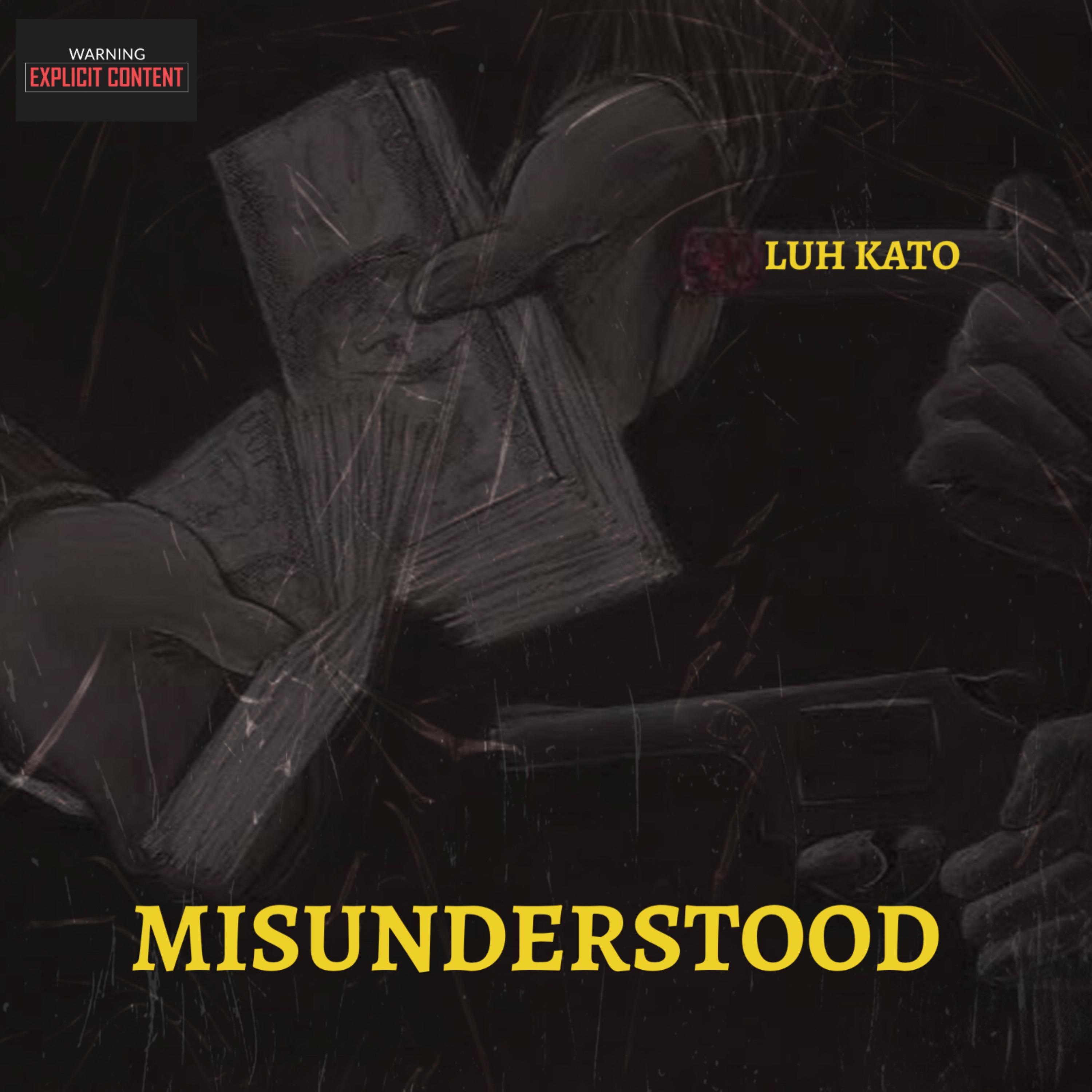 misunderstood! artwork