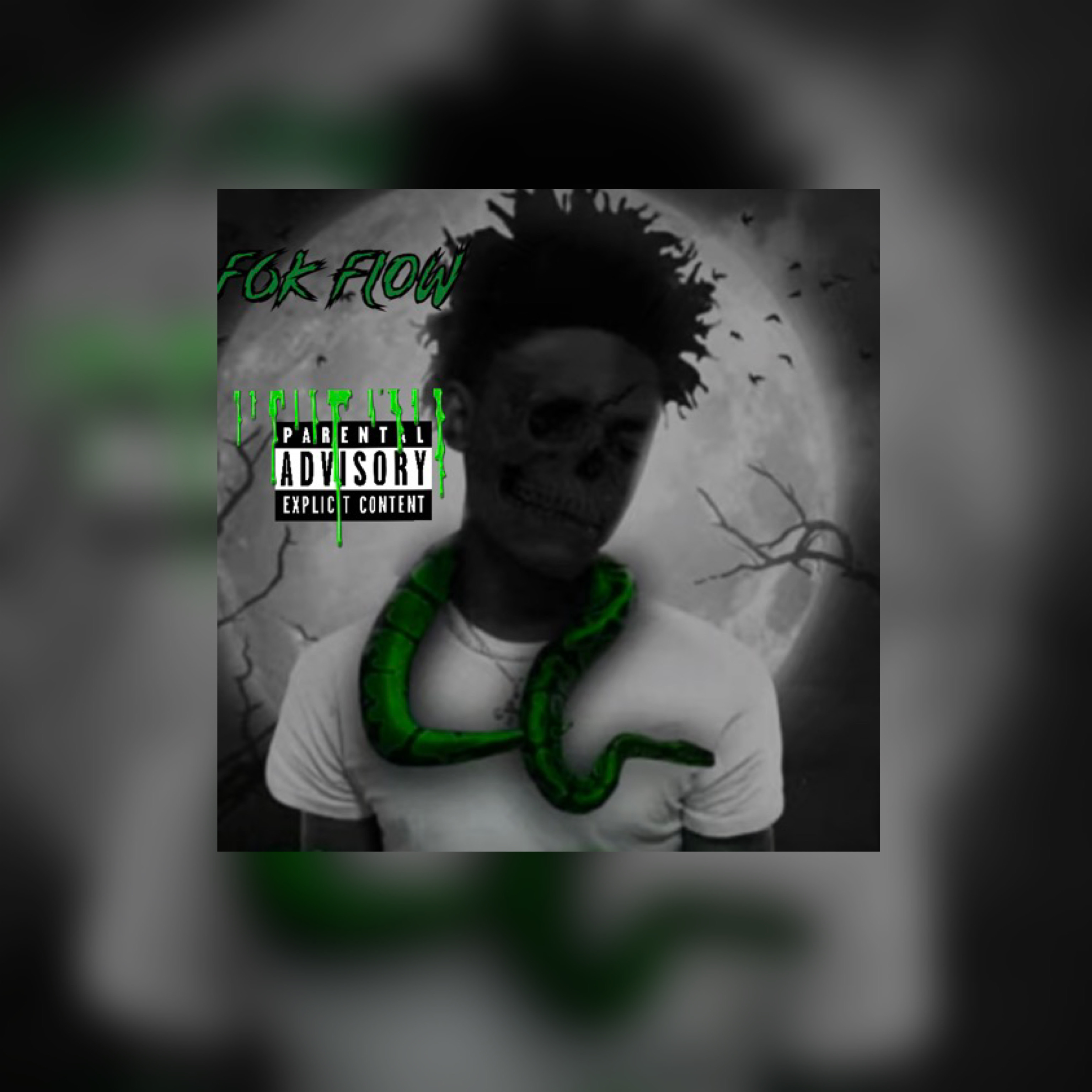 F6k Flow artwork