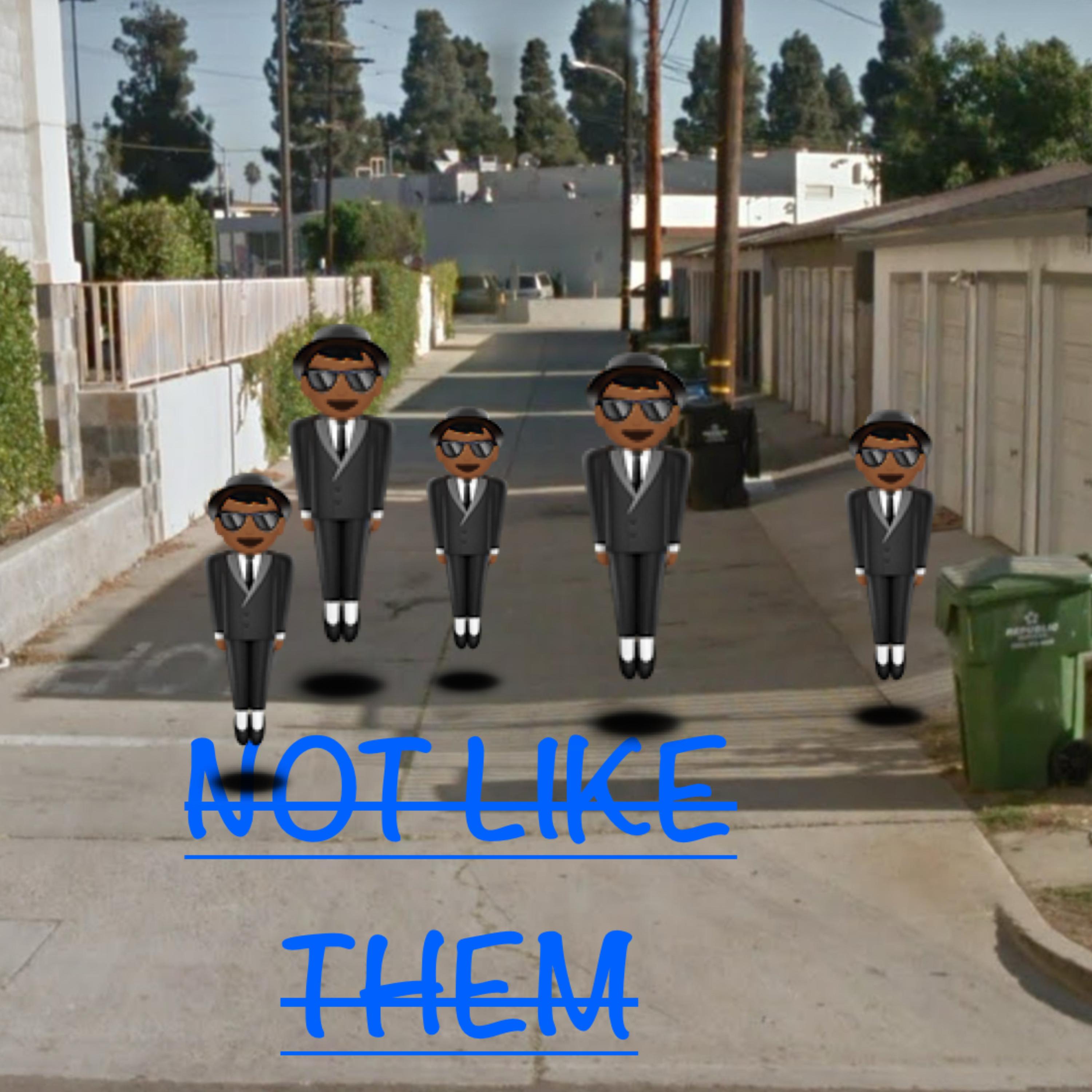 NOT LIKE THEM (FANS) artwork