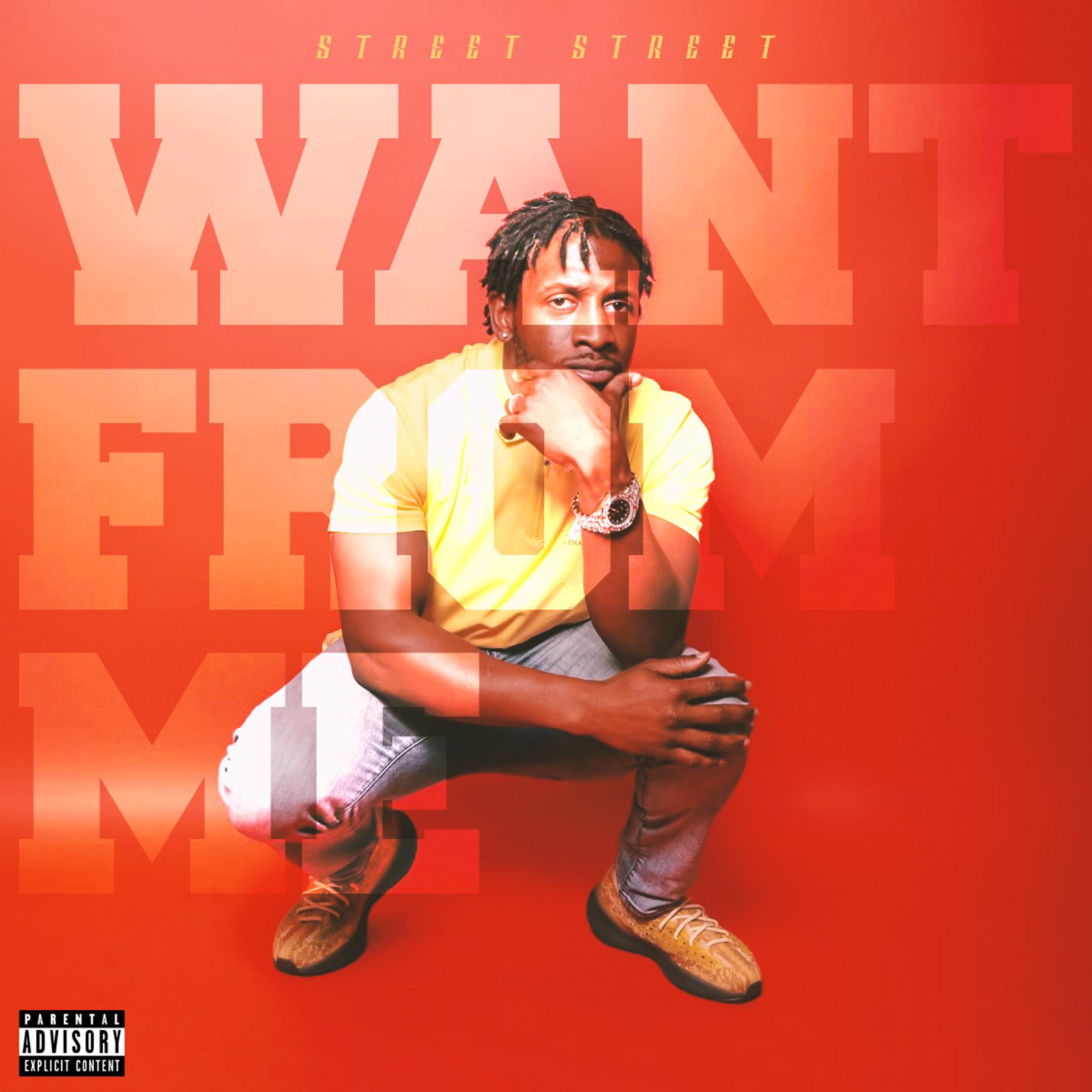 WANT FROM ME artwork