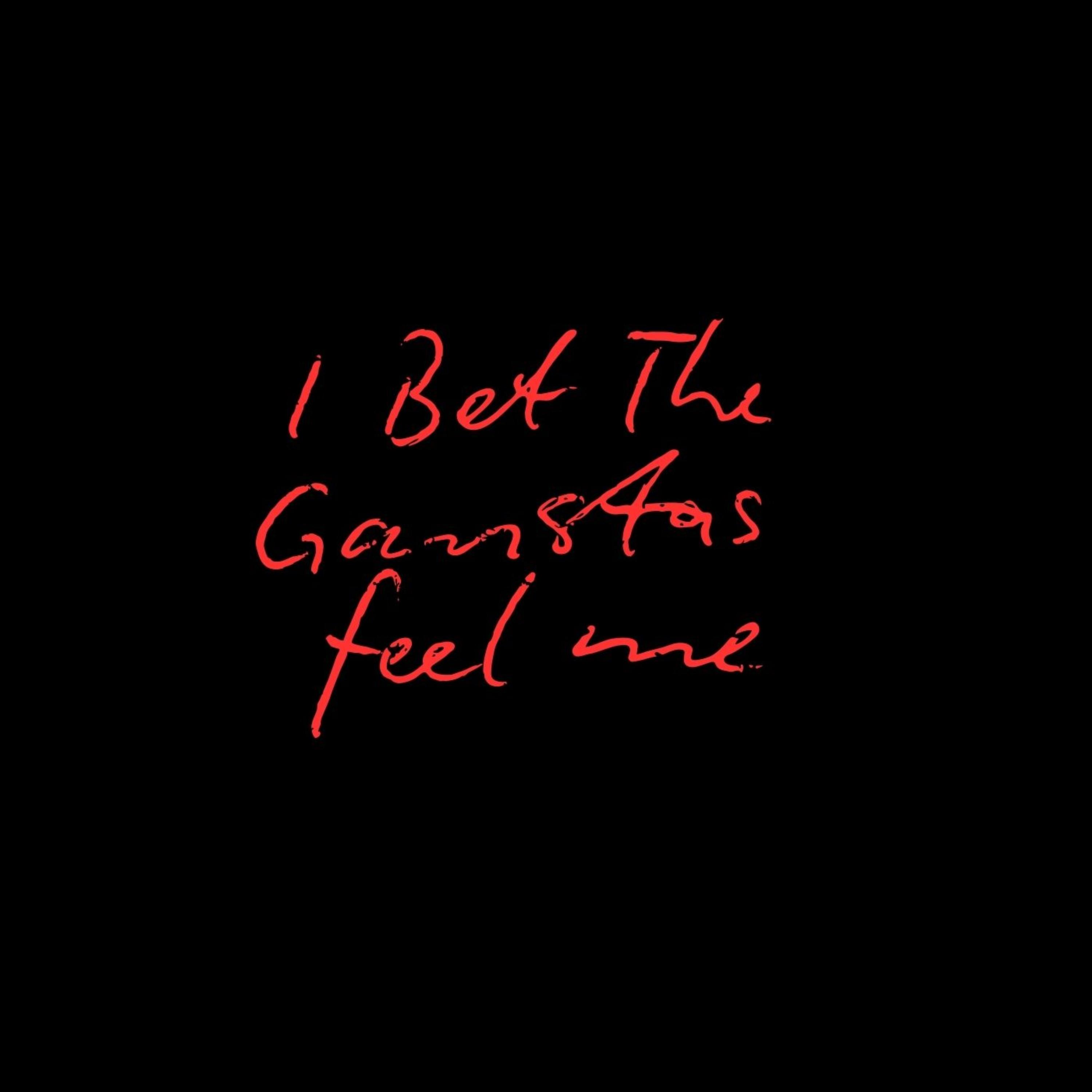 I Bet The Gangstas Feel Me by Mac Ruth cover art
