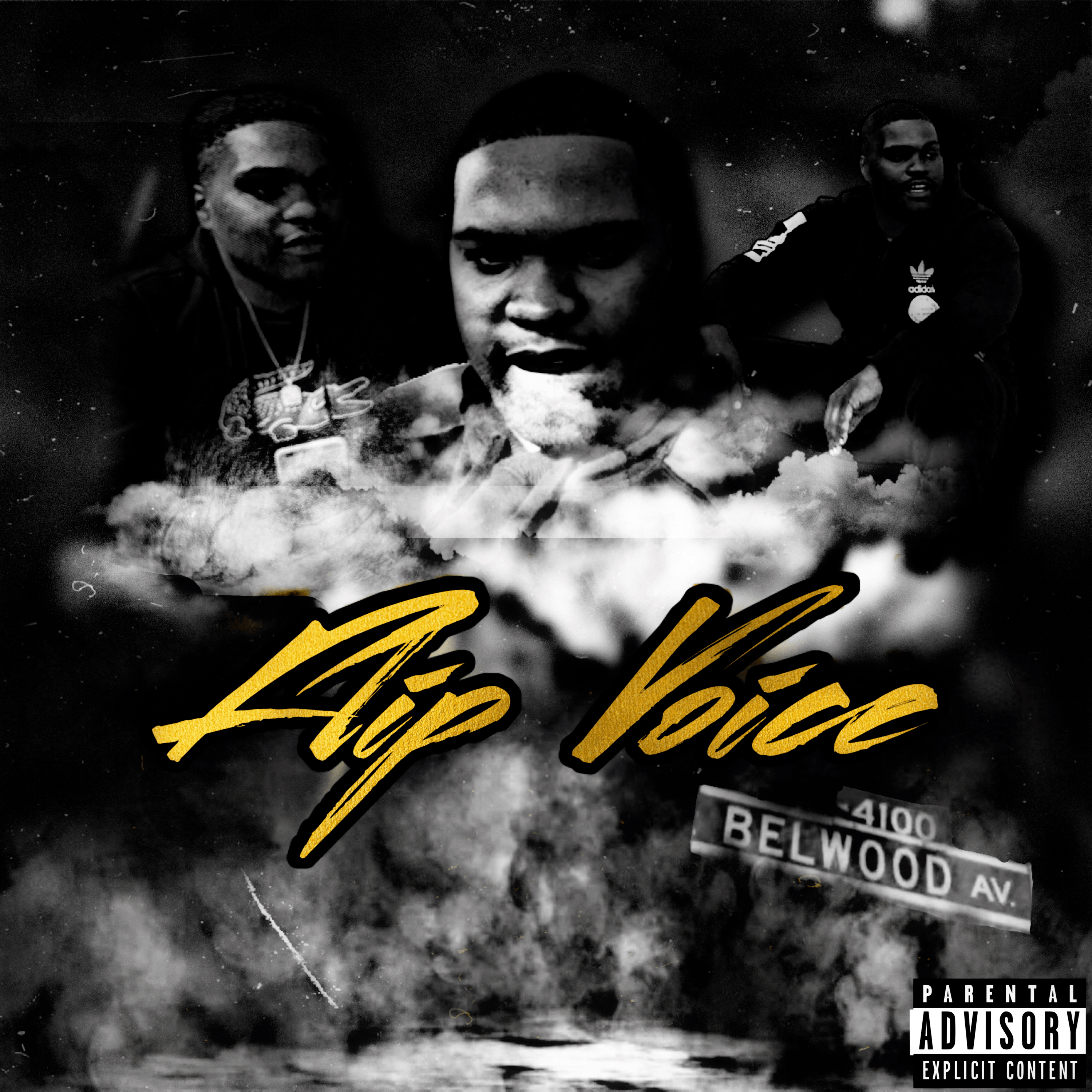 Flip Voice by SBP Moe