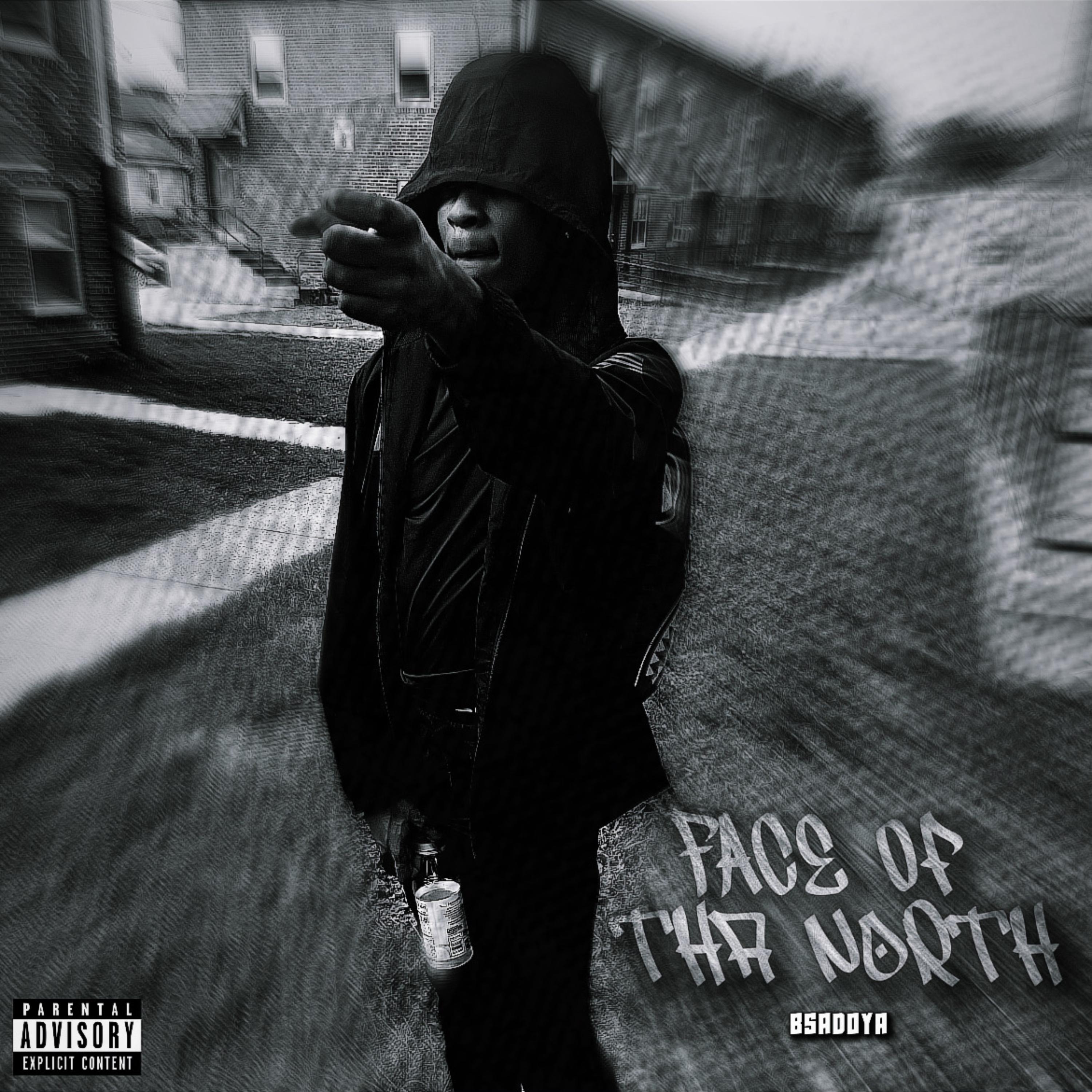 Face Of Tha North artwork