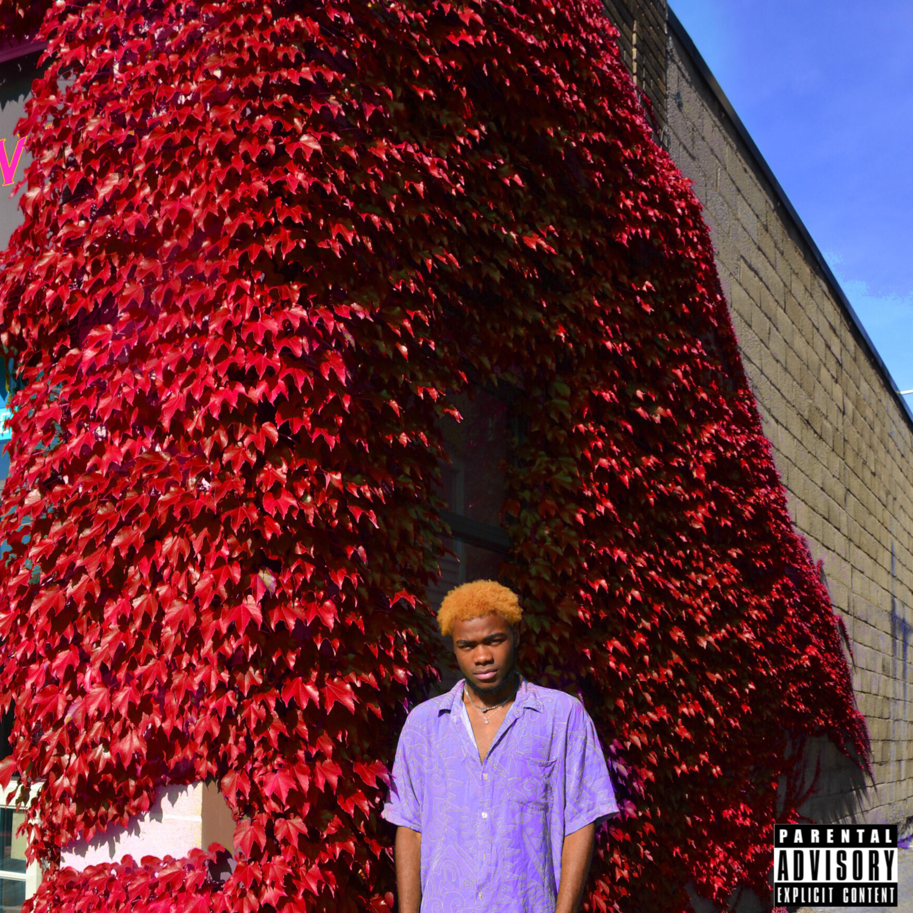 LIFEOFM2 artwork
