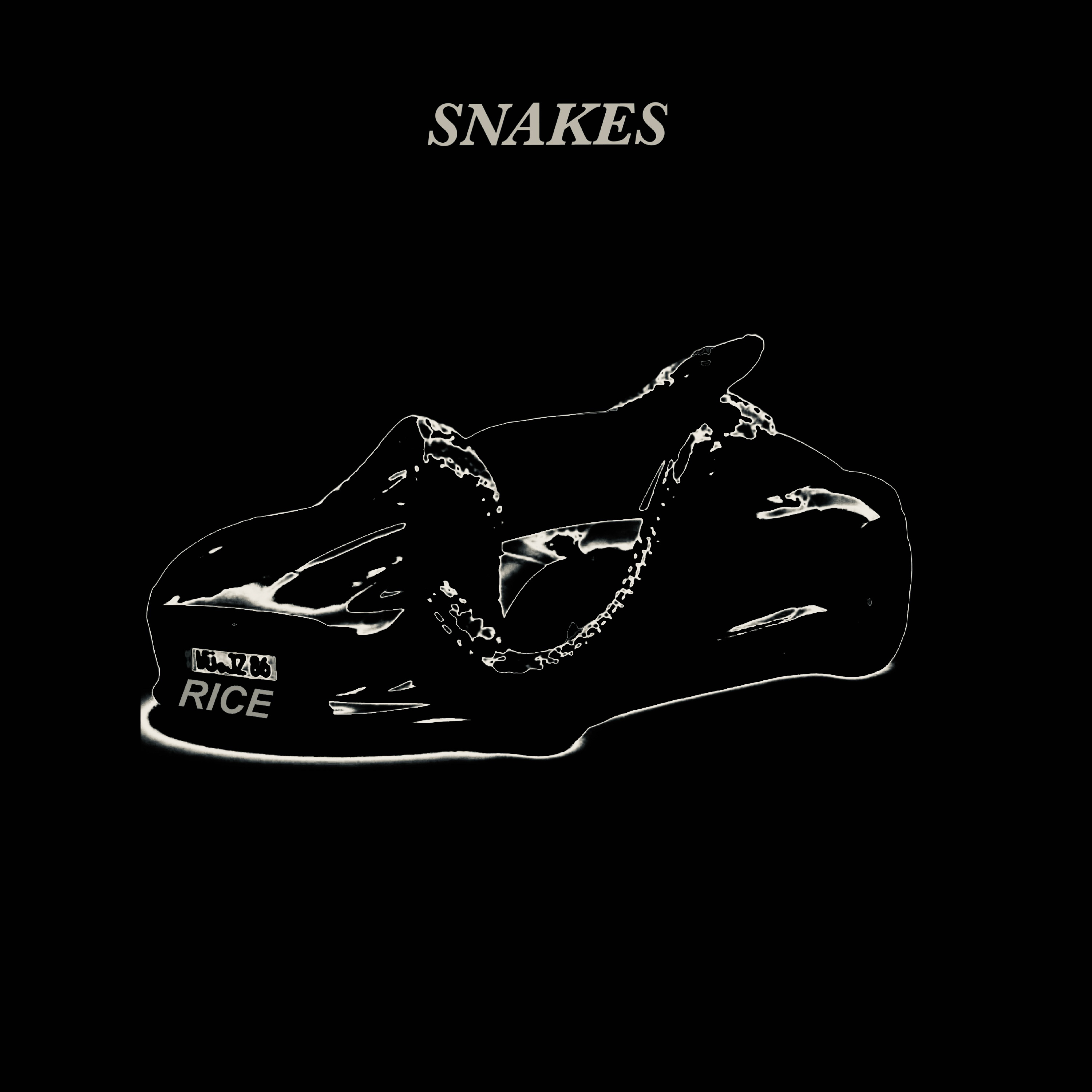 Snakes artwork