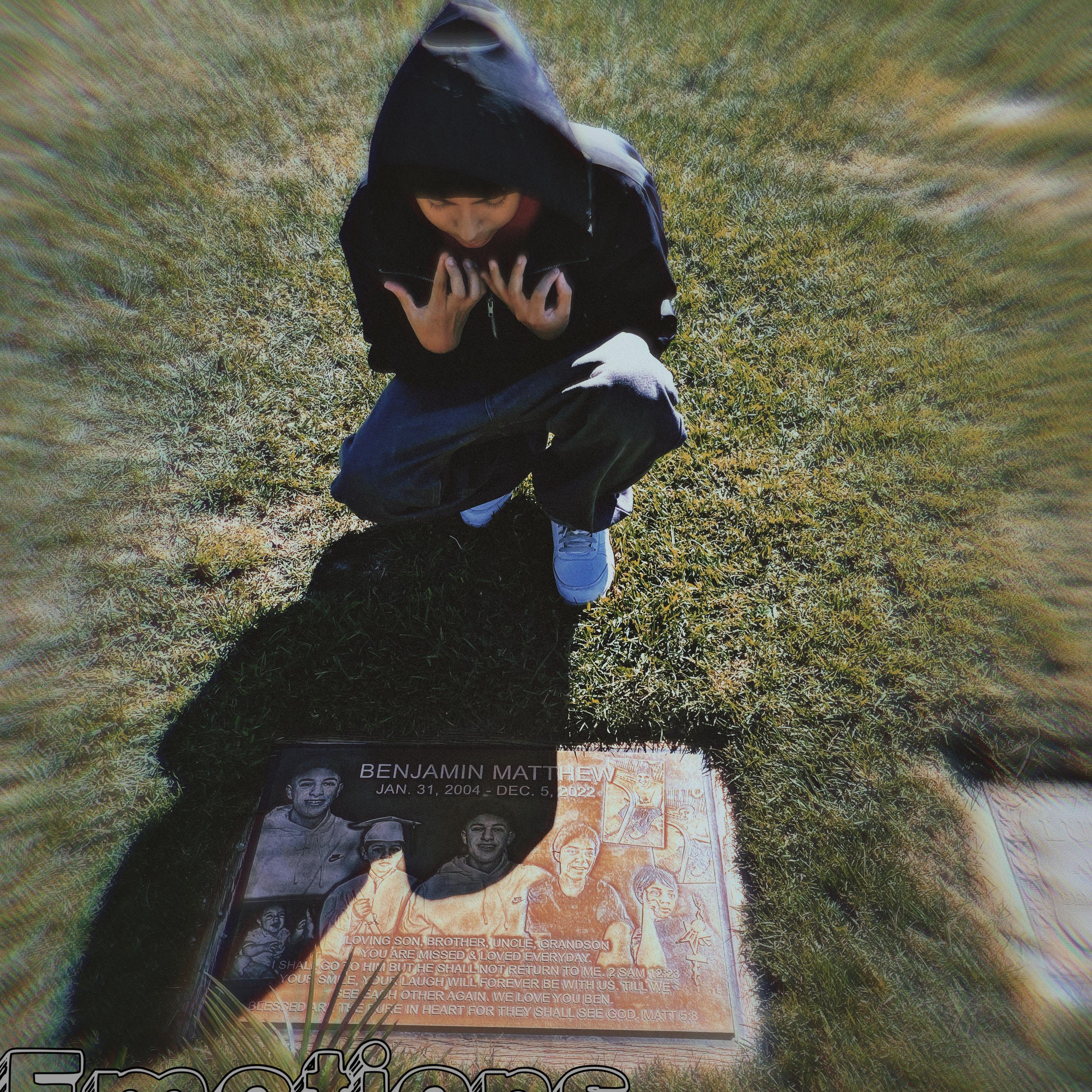 Emotions by HatedKay cover art