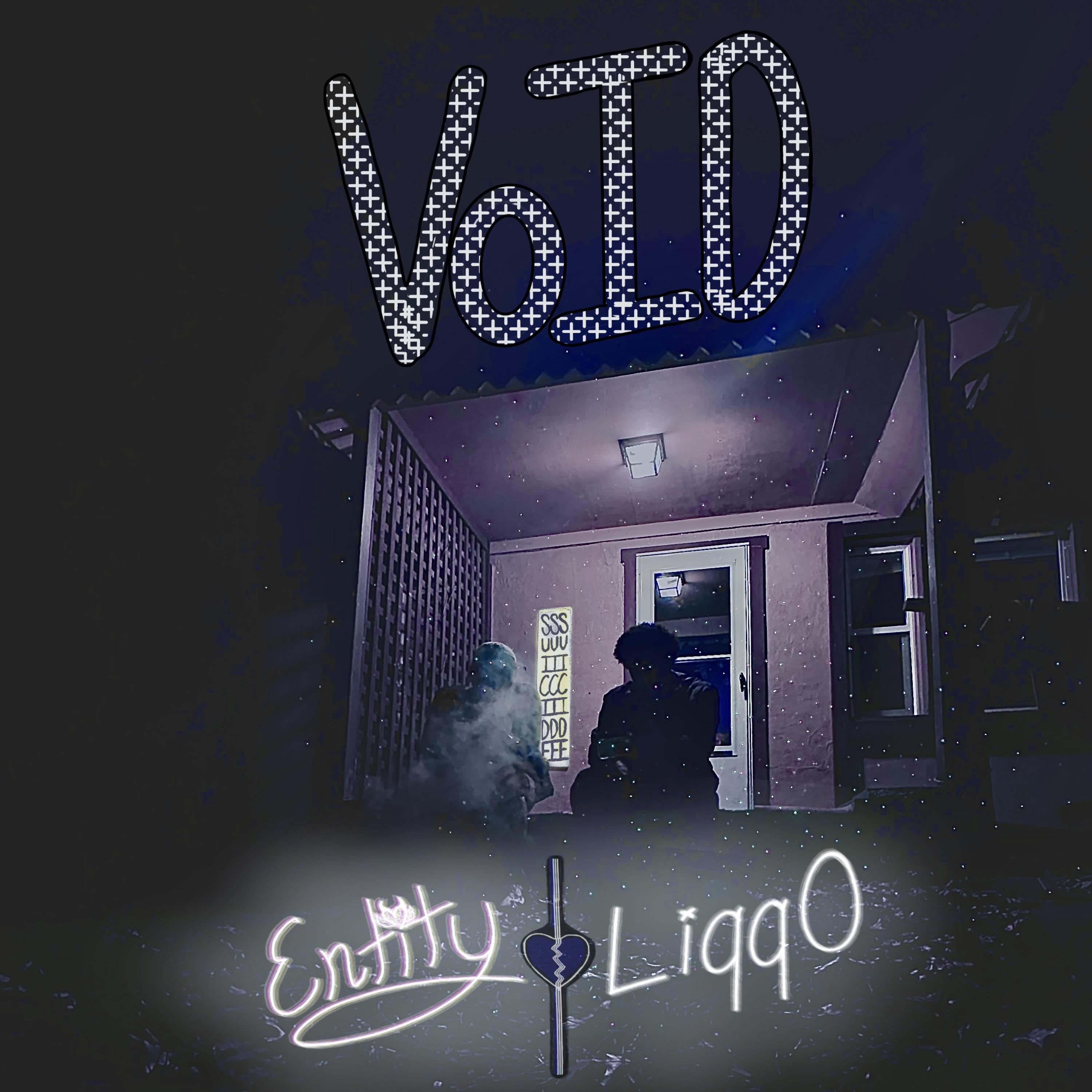 VoID artwork